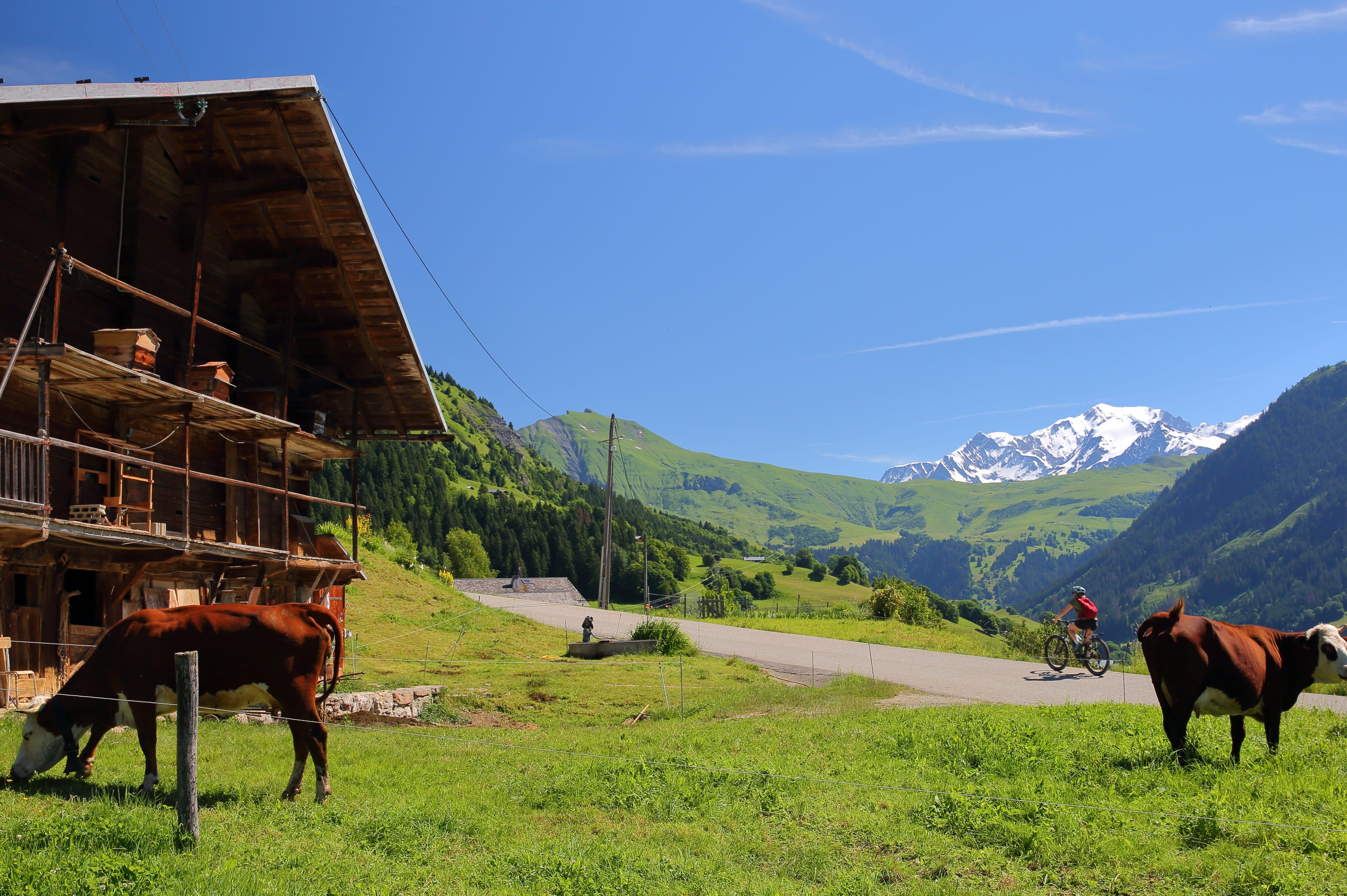 Image Lacs et Balcons du Beaufortain