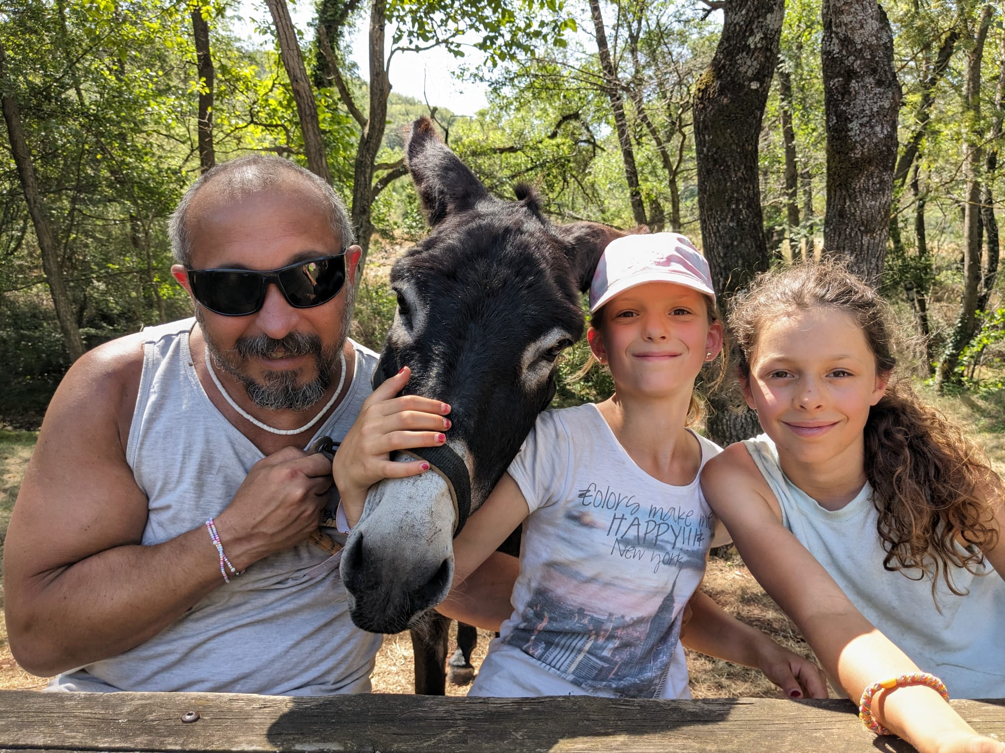 Image Les Cévennes du Sud avec des ânes
