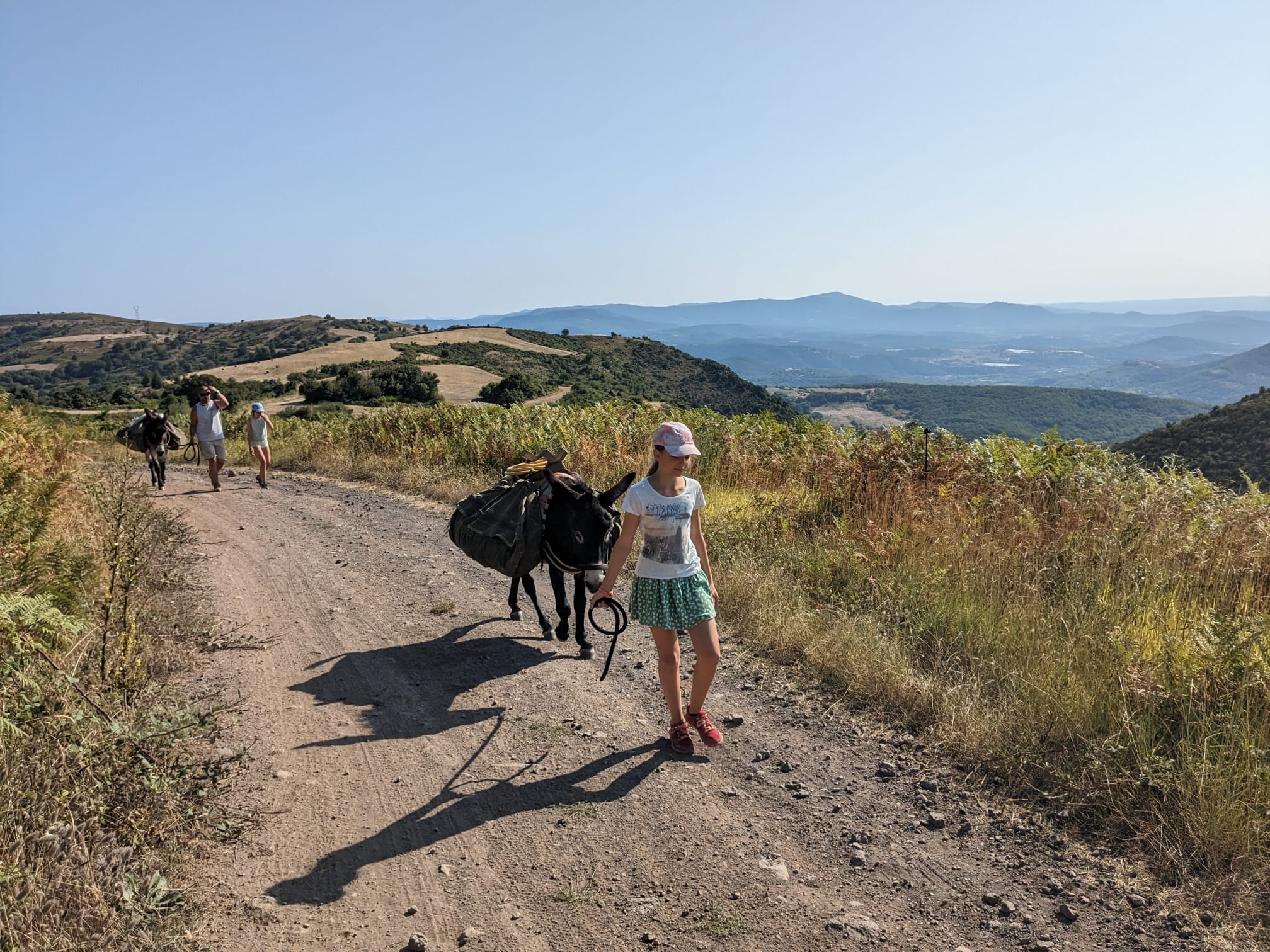 Trek - Les Cévennes du Sud avec des ânes