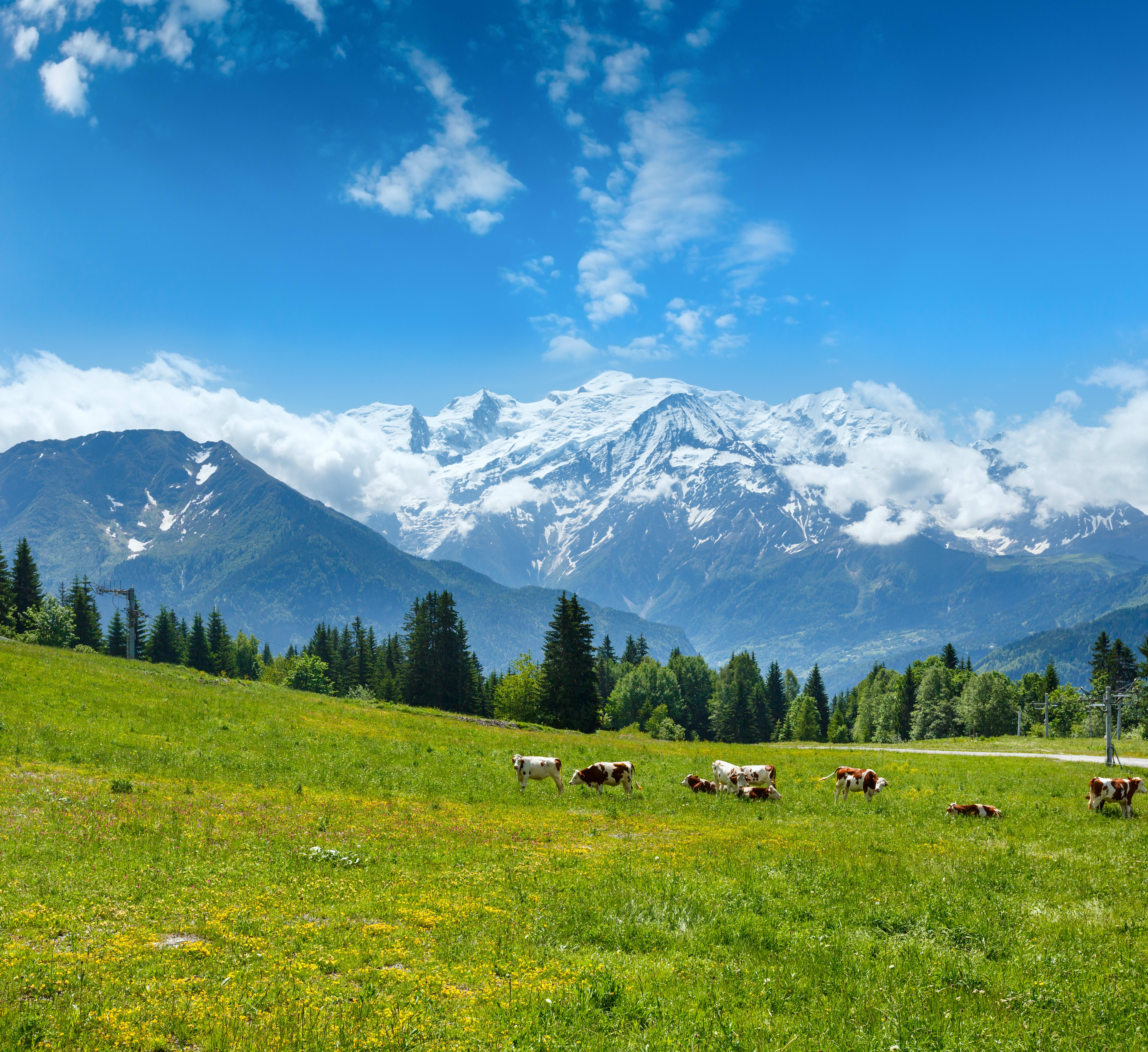 Image Panoramas Secrets du Mont Blanc
