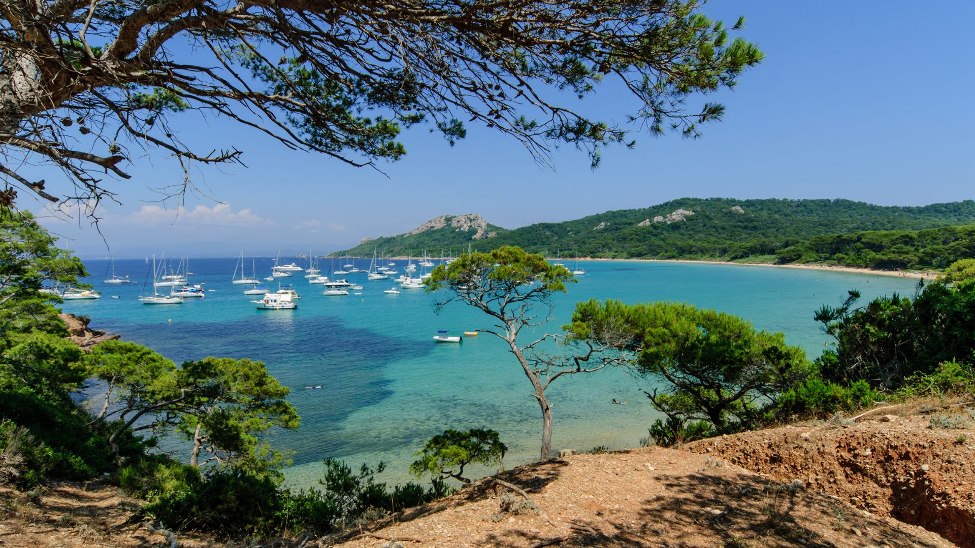 Image Les îles d'or, Porquerolles et Port-Cros