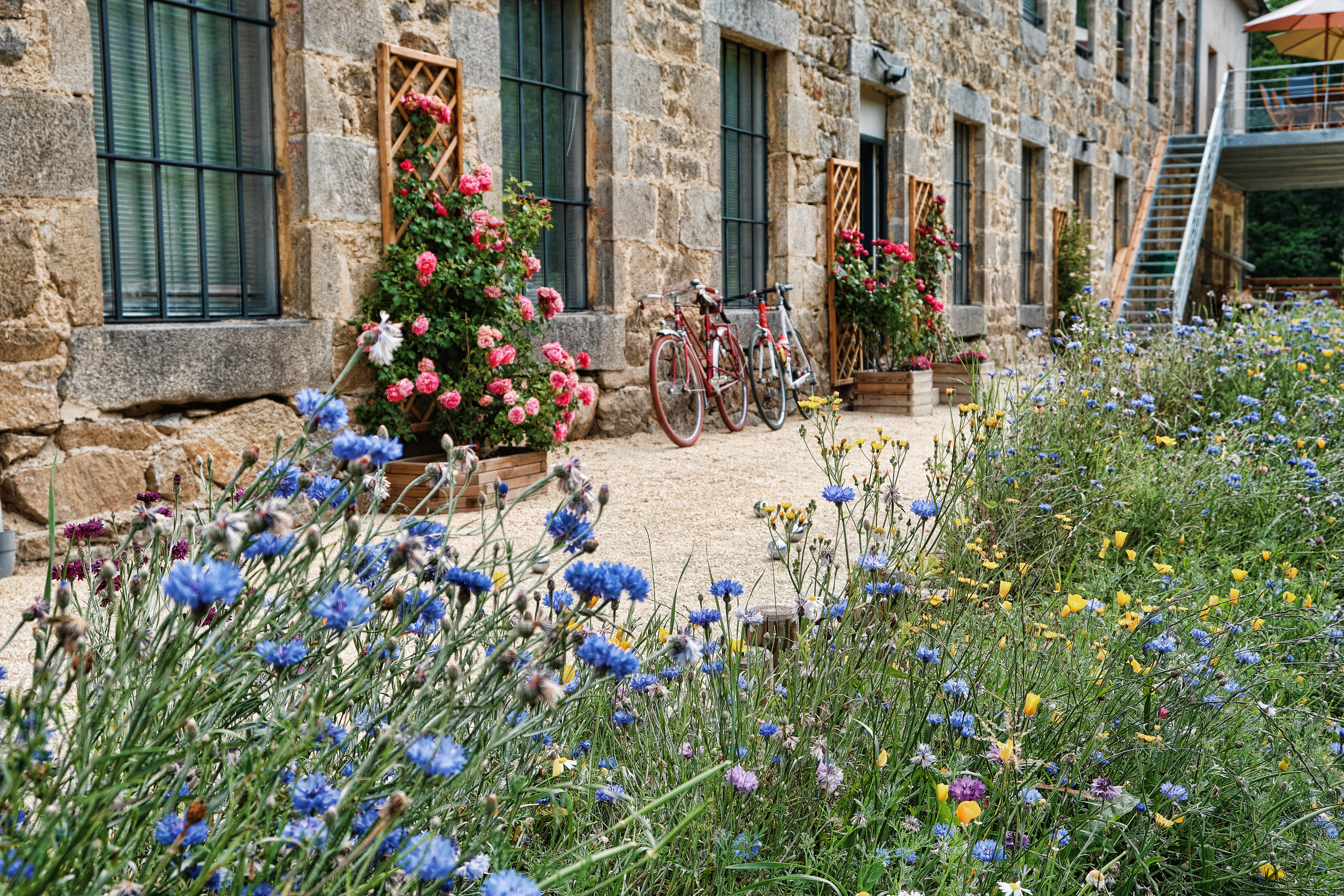 Image Rando Yoga et Méditation en Haute Ardèche, ressourcement et retour à l'essentiel