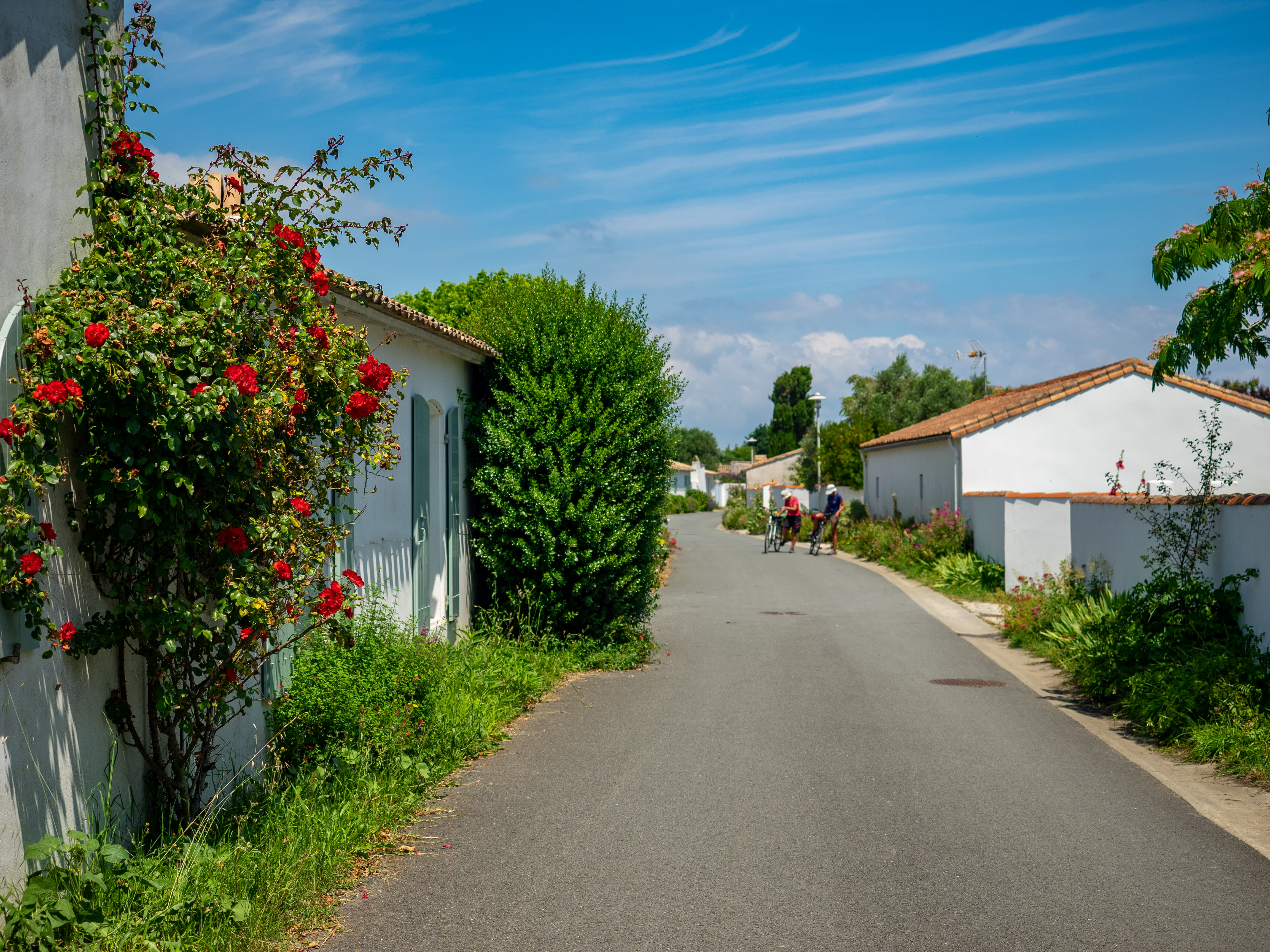 Image Vélodyssée de Nantes à La Rochelle