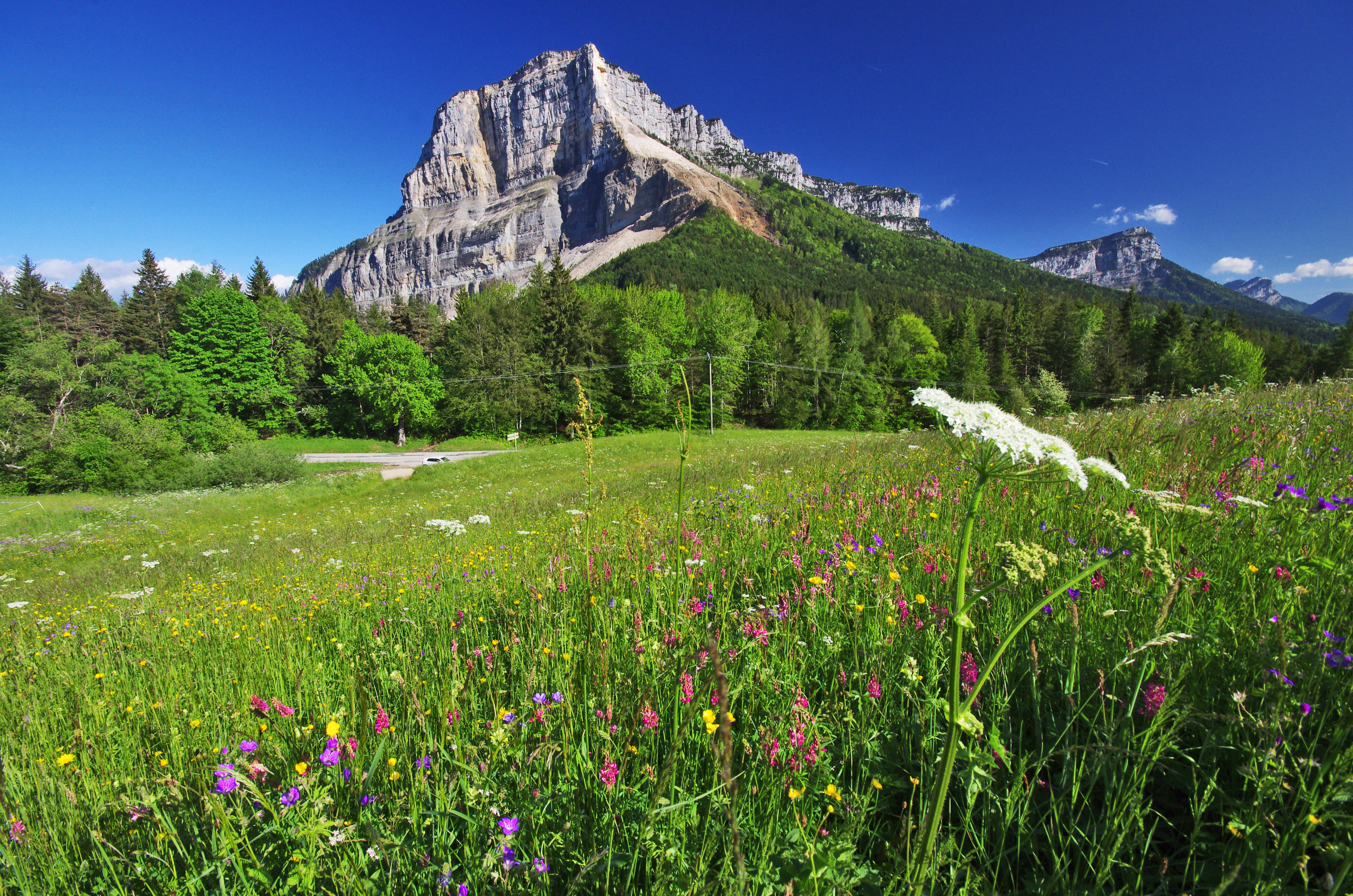 Image Trésors de bien être en Chartreuse