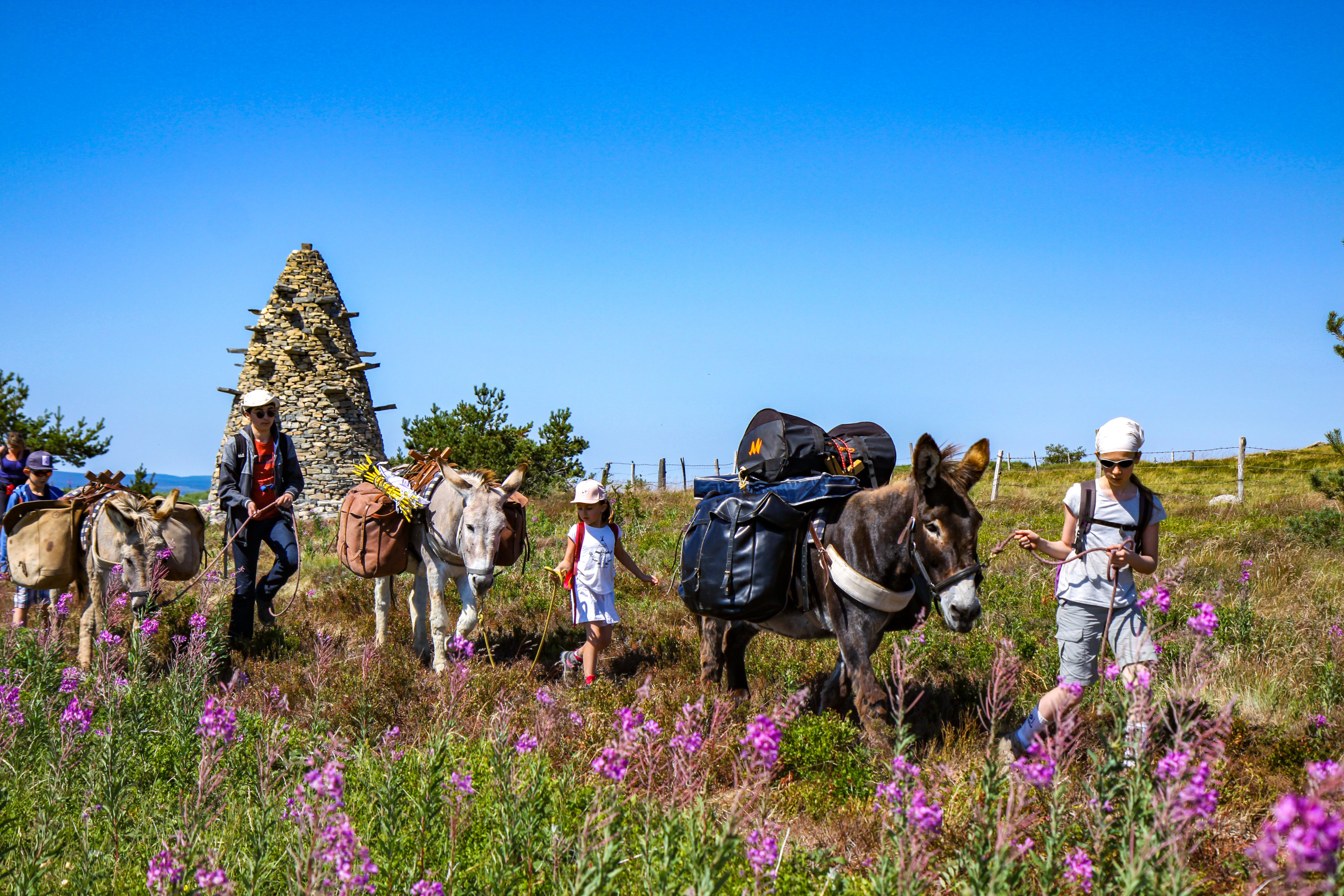 Voyage avec ânes - Les sources de la Loire dans les Monts d\'Ardèche avec un âne