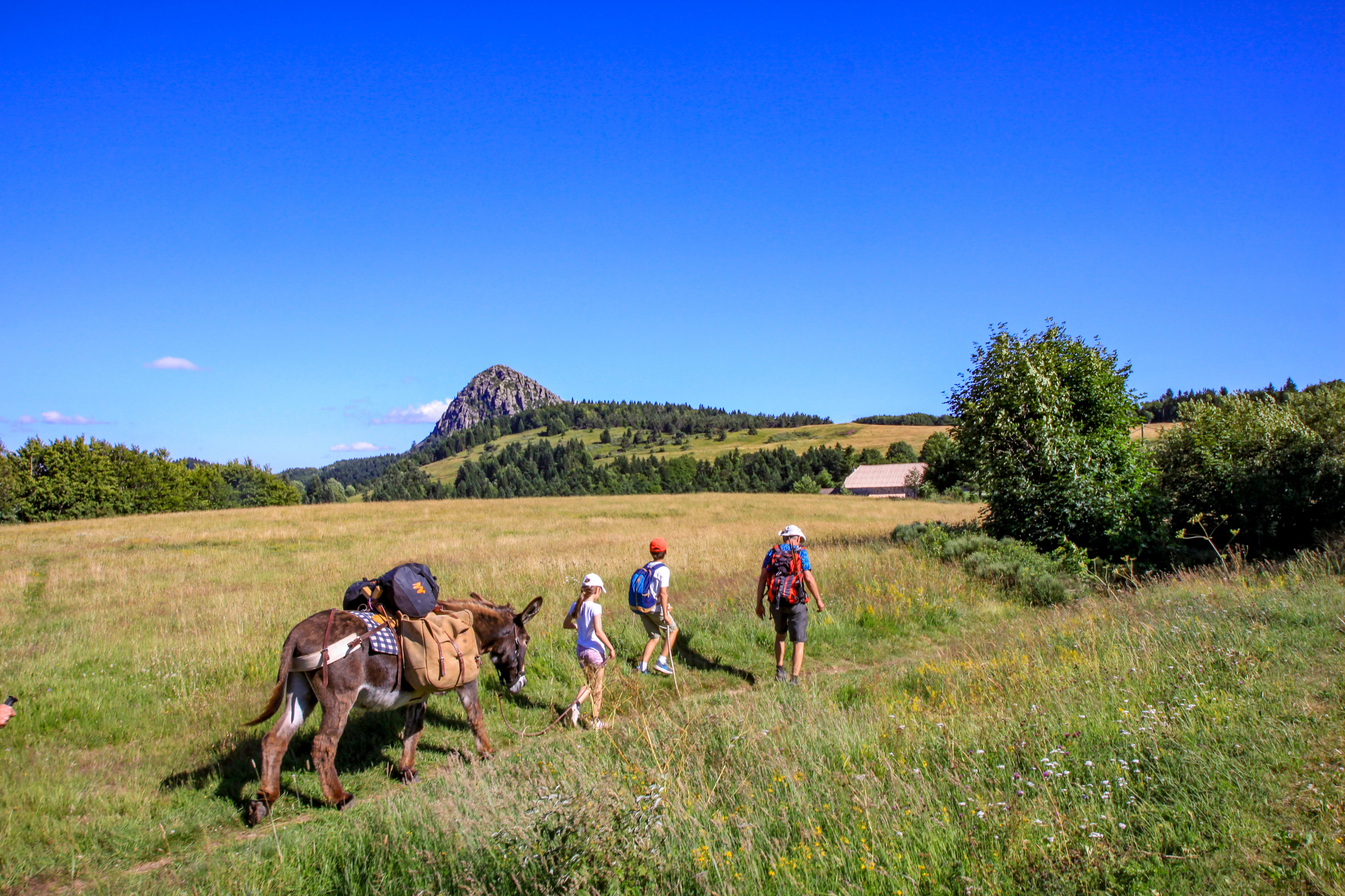 Image Les volcans des Monts d'Ardèche en famille et avec un âne