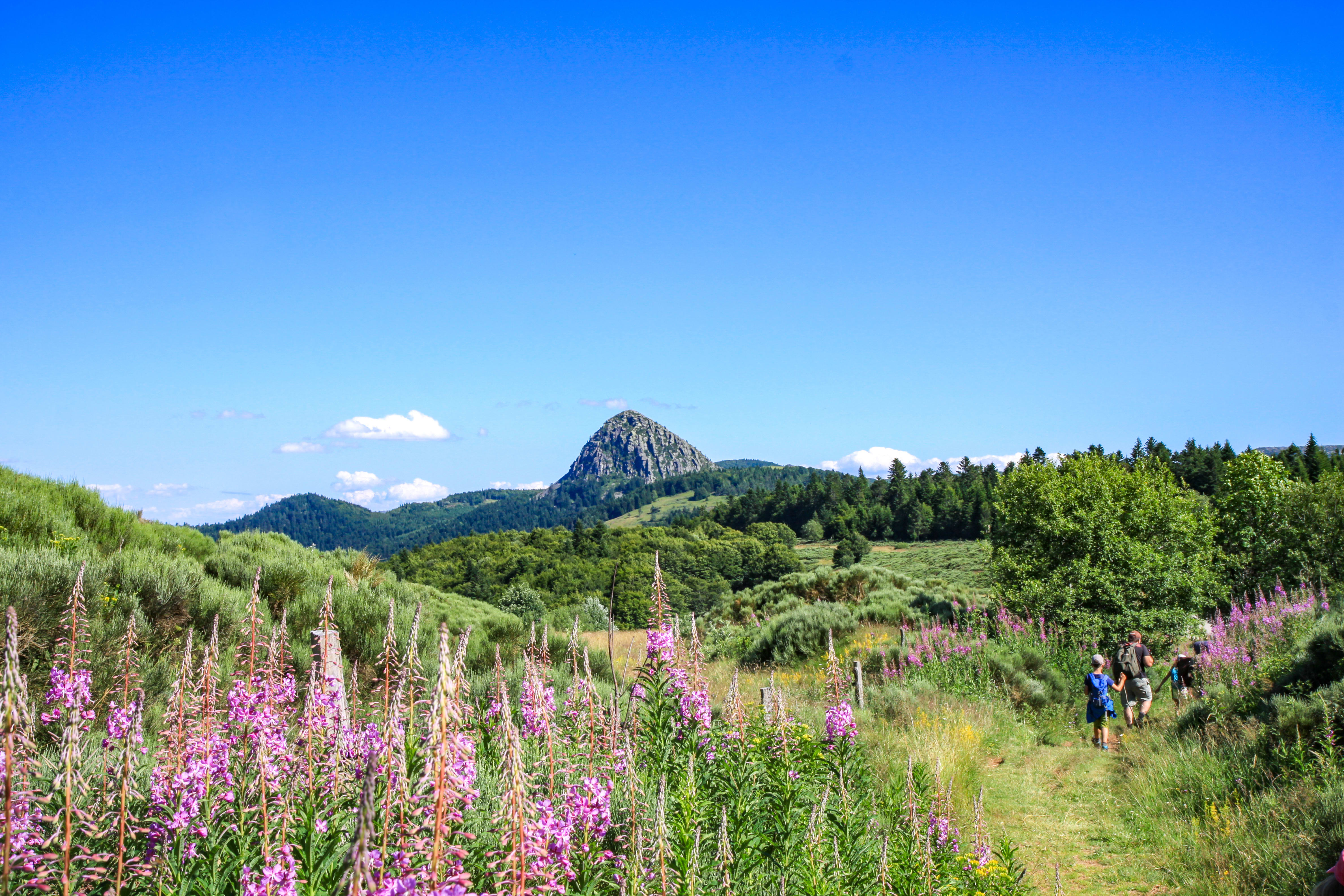 Image Les sources de la Loire dans les Monts d'Ardèche avec un âne