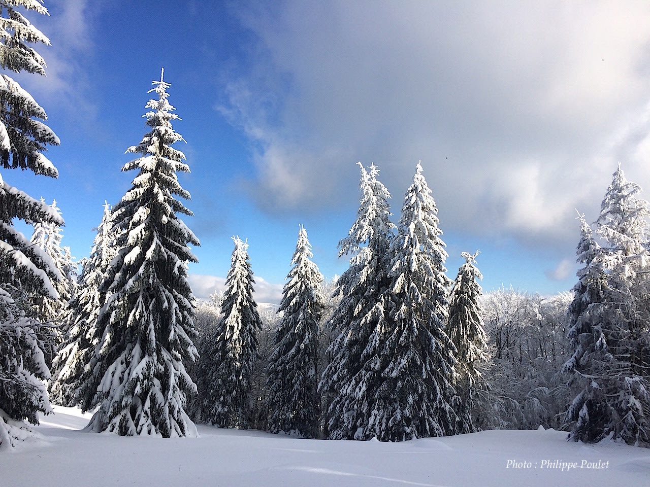 Image Raquettes en Hautes Vosges, du Bonhomme au Lac Blanc