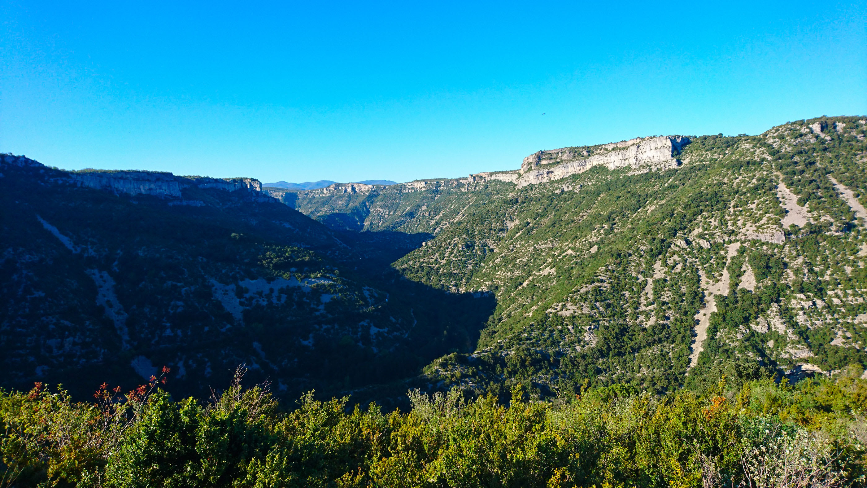 Image Entre Larzac et Navacelles