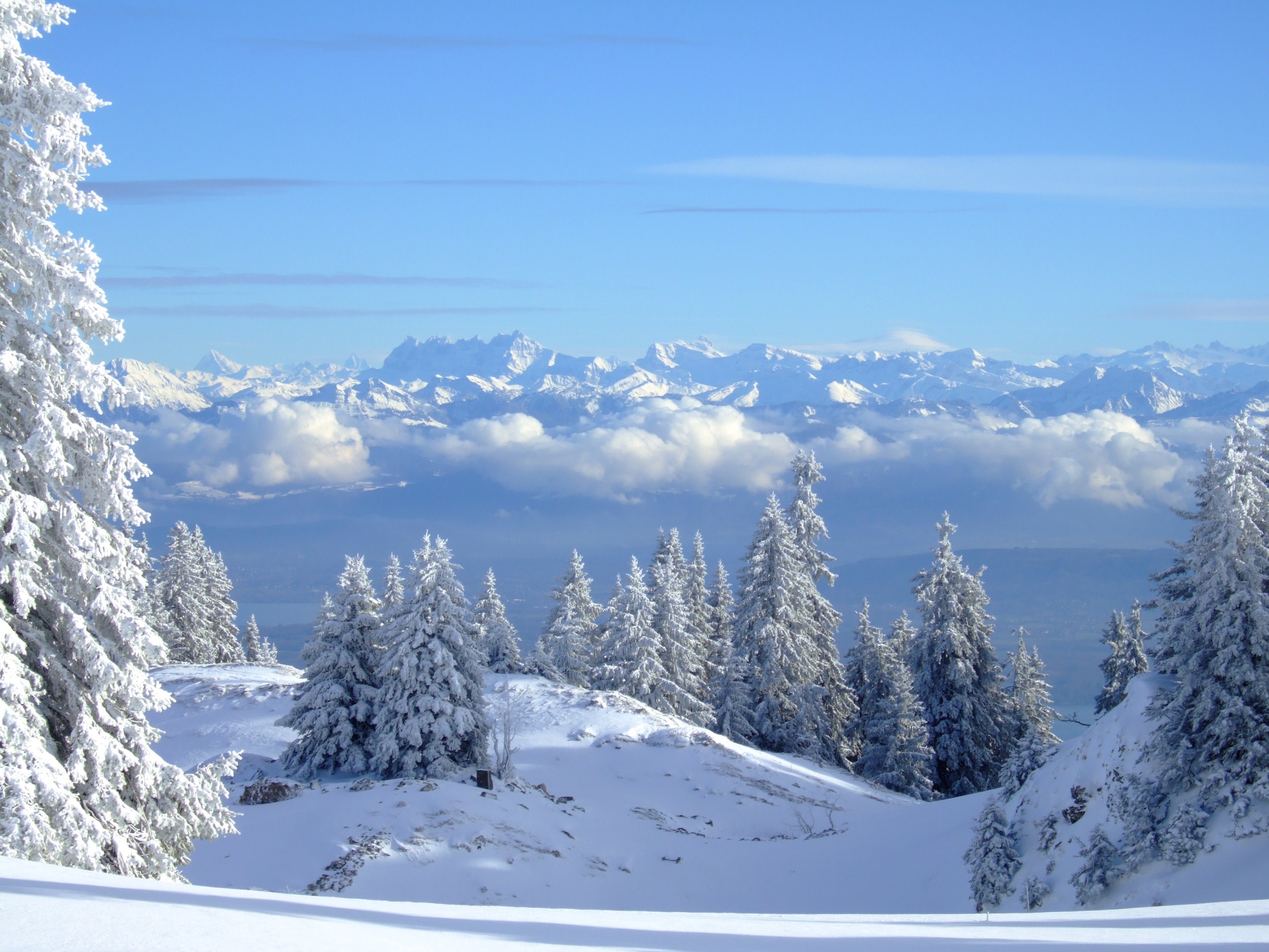 Voyage en raquette - Réveillon raquettes dans le Haut Jura