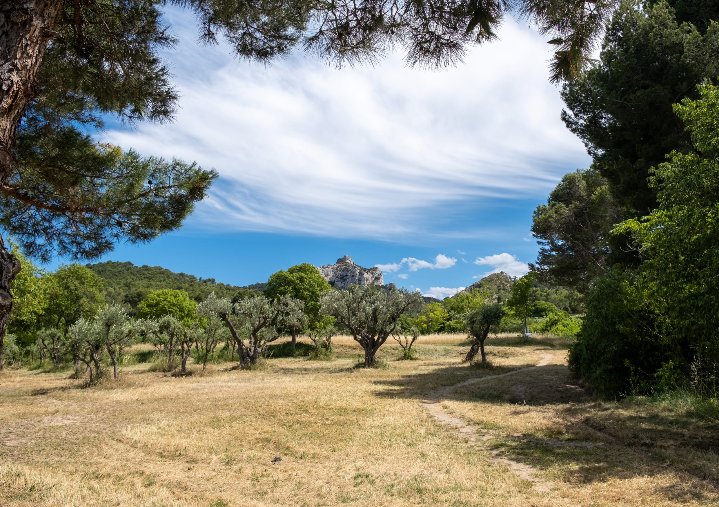 Image Le  chemins des lavandes