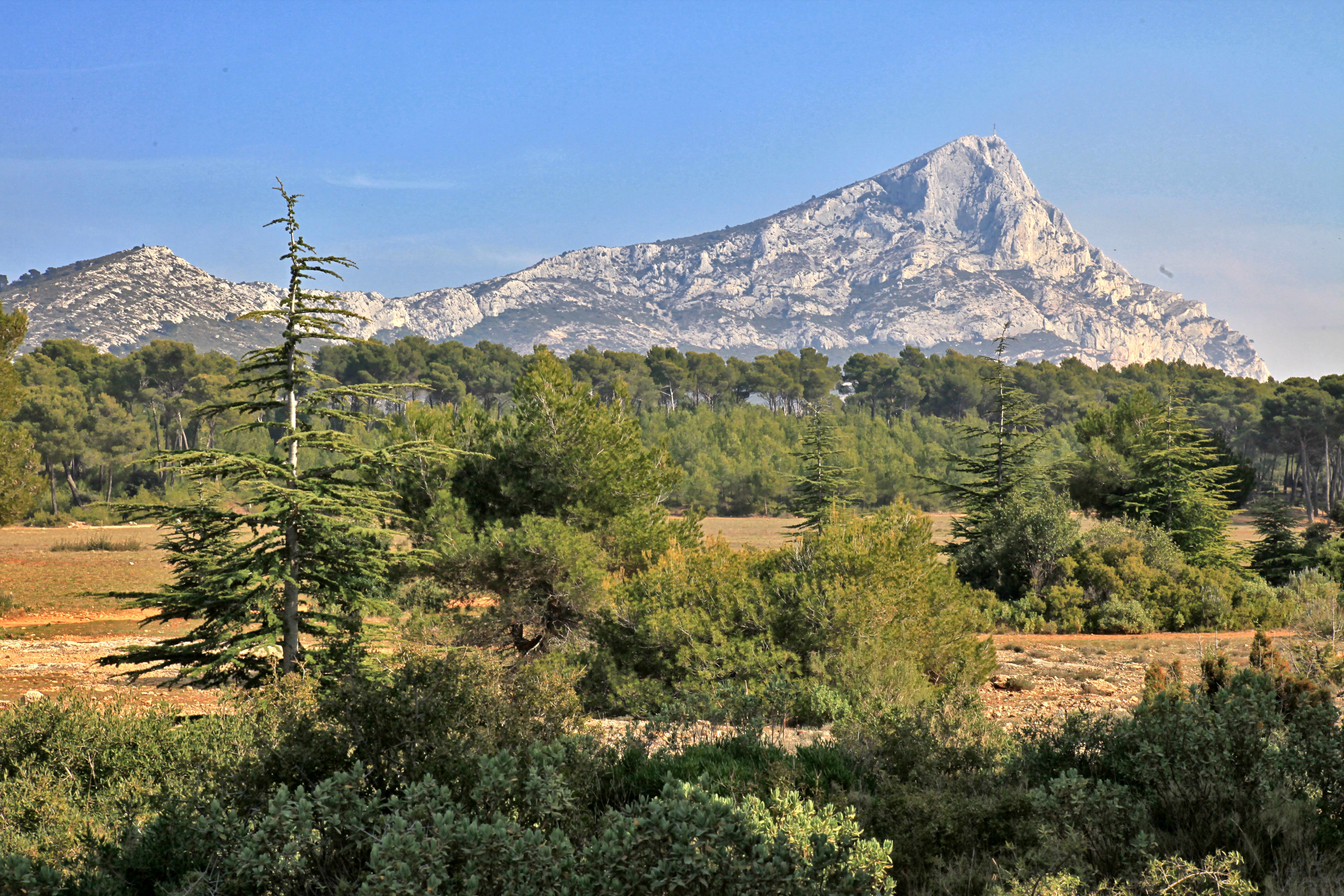 Image Massifs provençaux de Cézanne à Pagnol