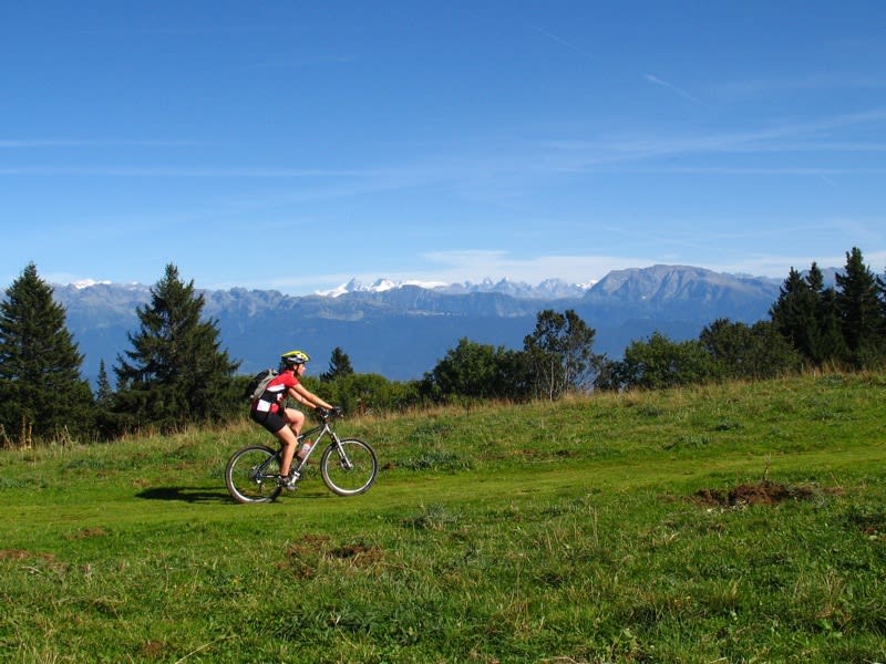 Image Étoile du Vercors à VTT, en formule accompagnée