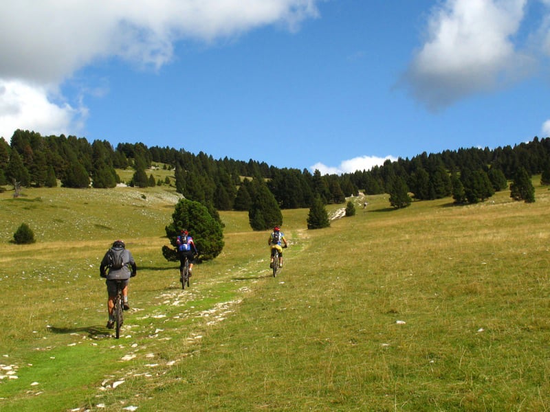 Image Douces vallées du Vercors en famille
