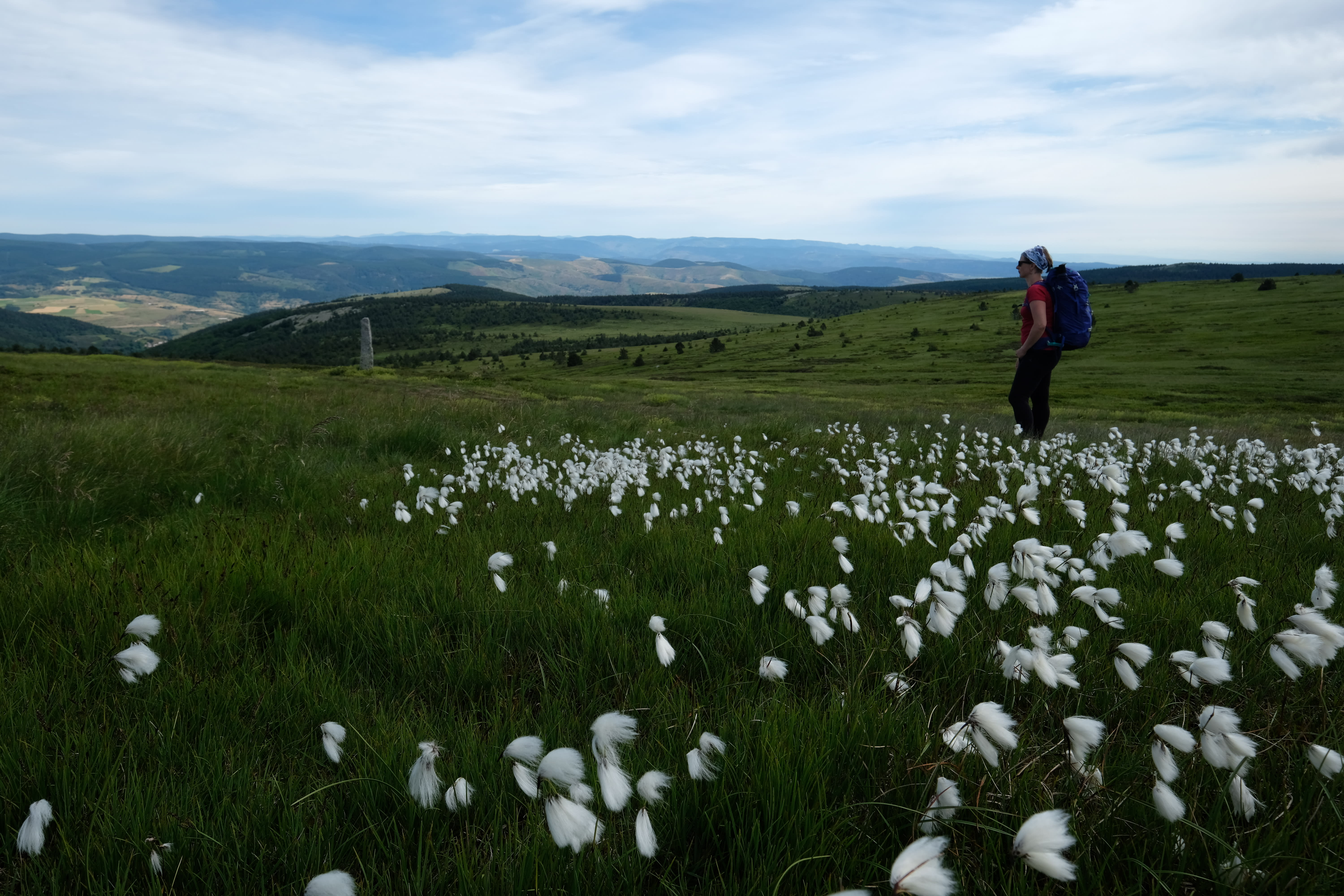 Image Chemin de Stevenson de Chasseradès à St. Jean du Gard