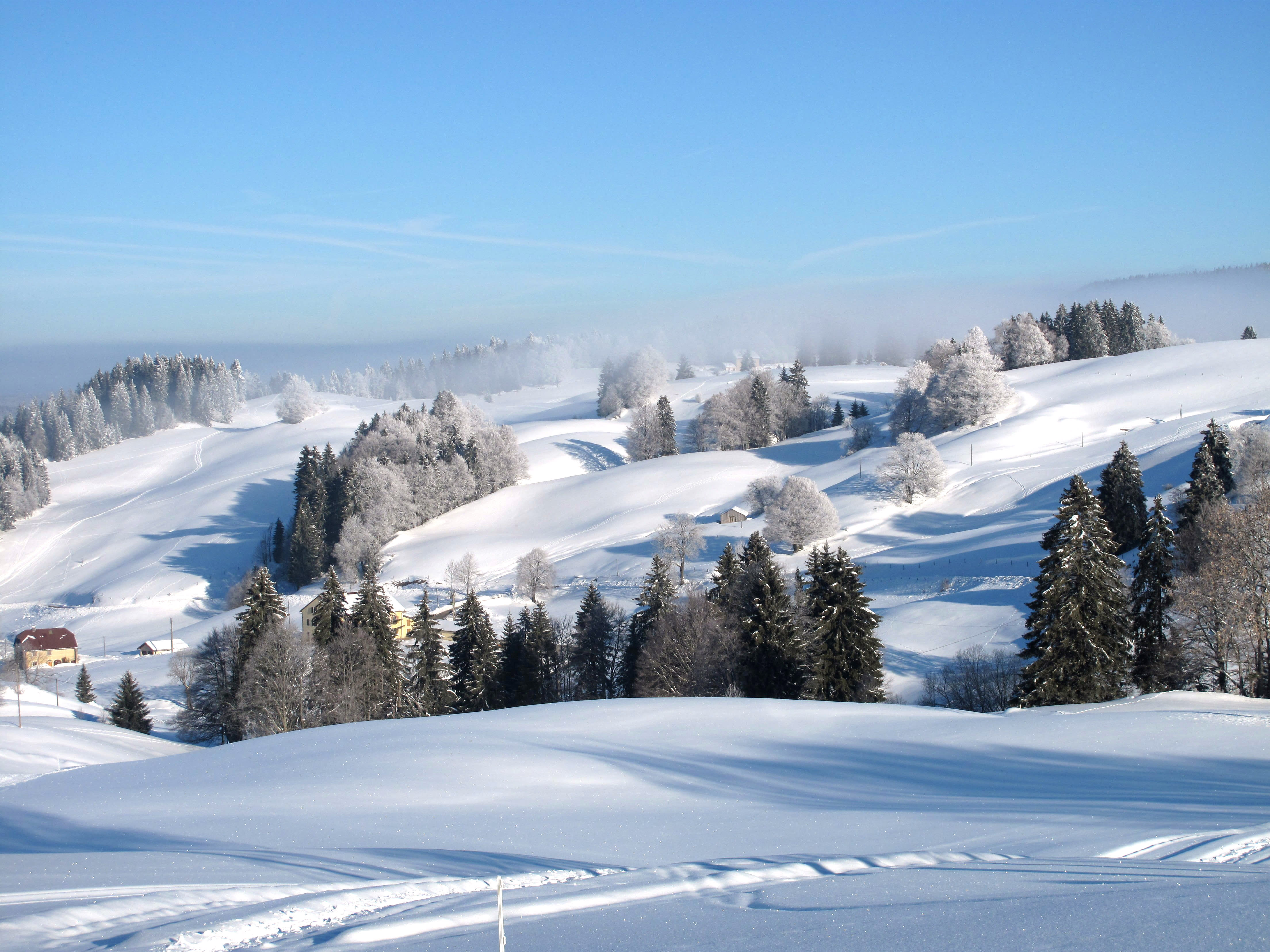 Image Réveillon raquettes dans le Haut Jura