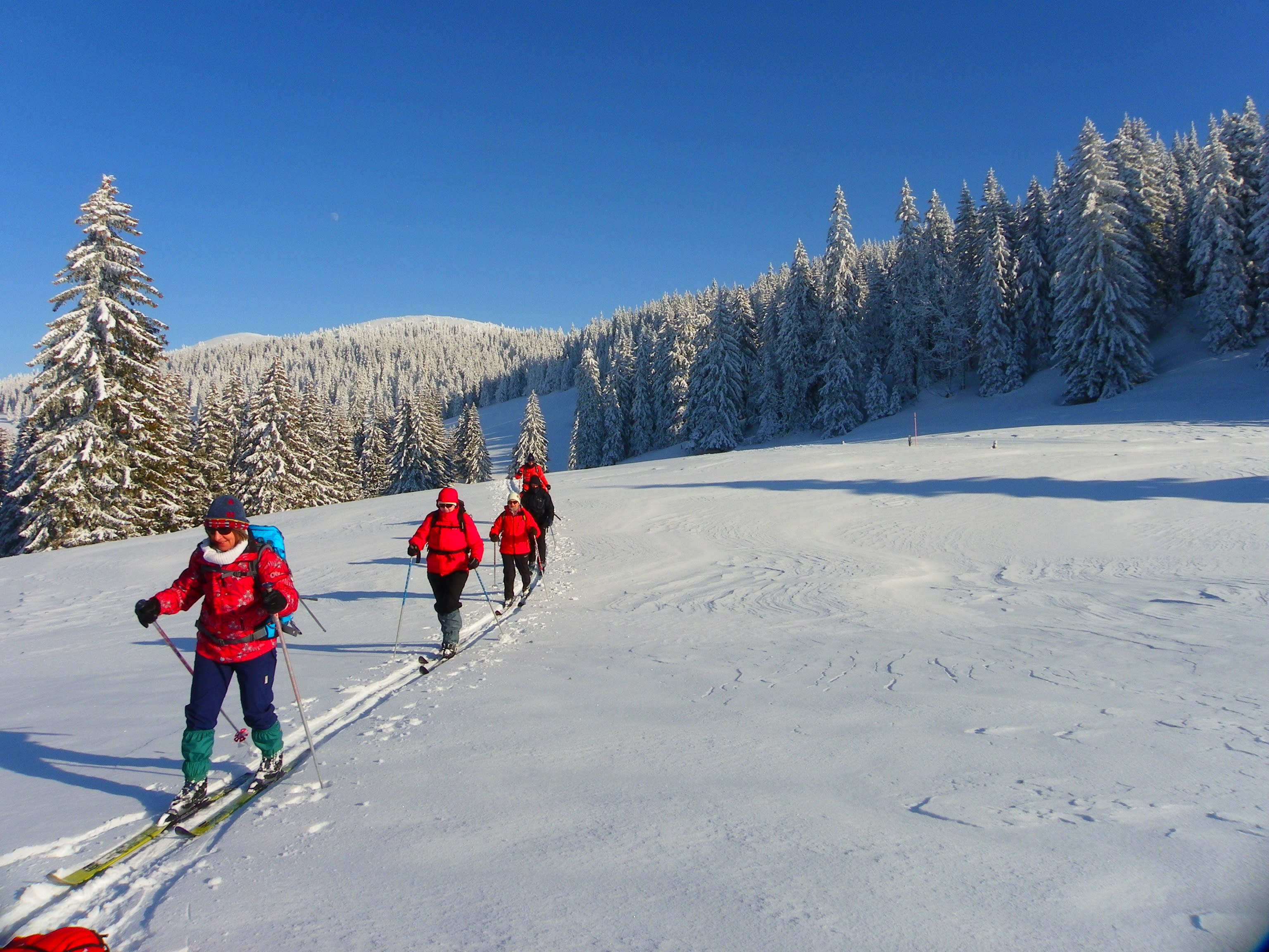 Randonnée nordique dans les Hautes Combes du Jura