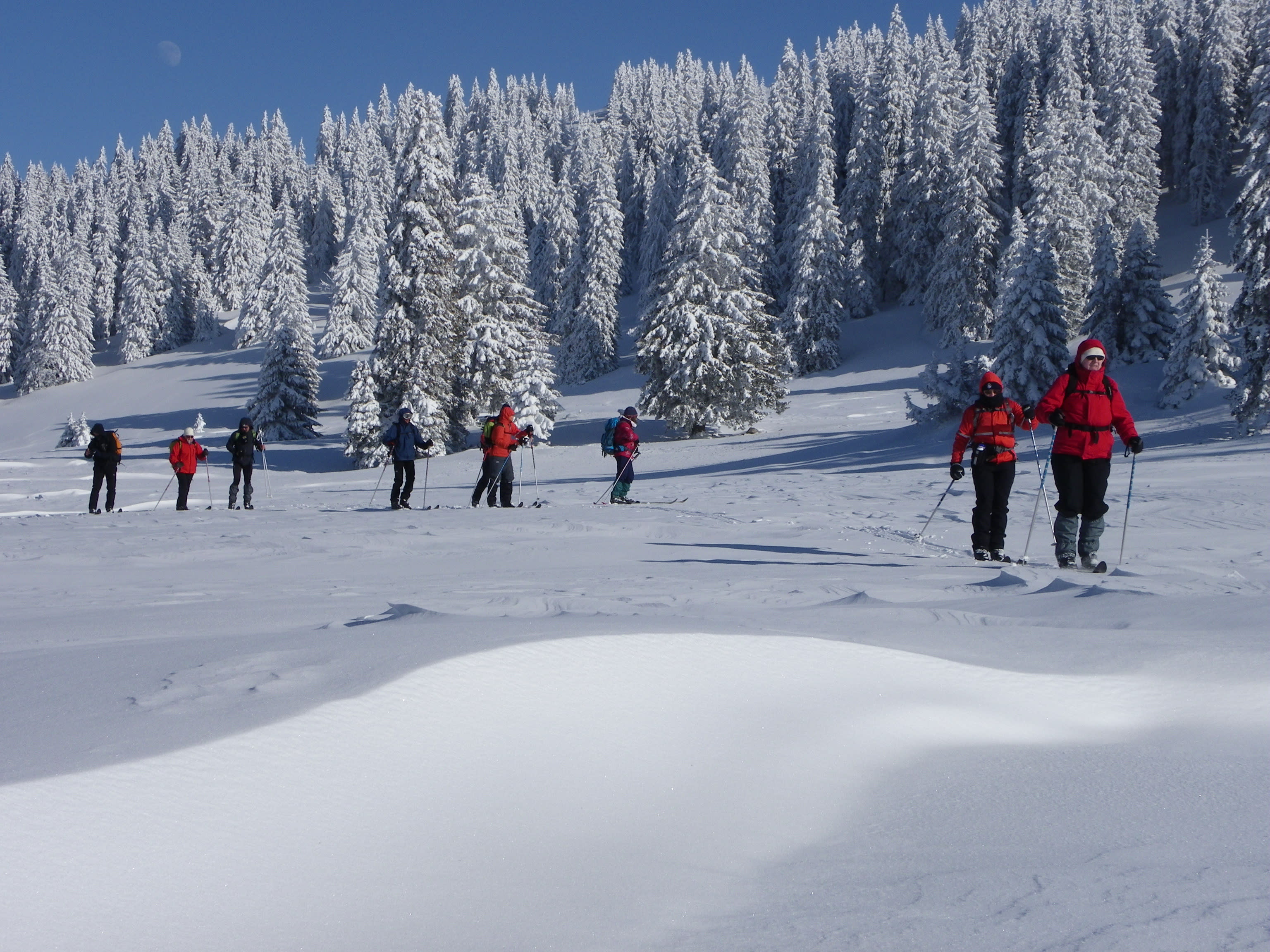 Image Randonnée nordique dans les Hautes Combes du Jura