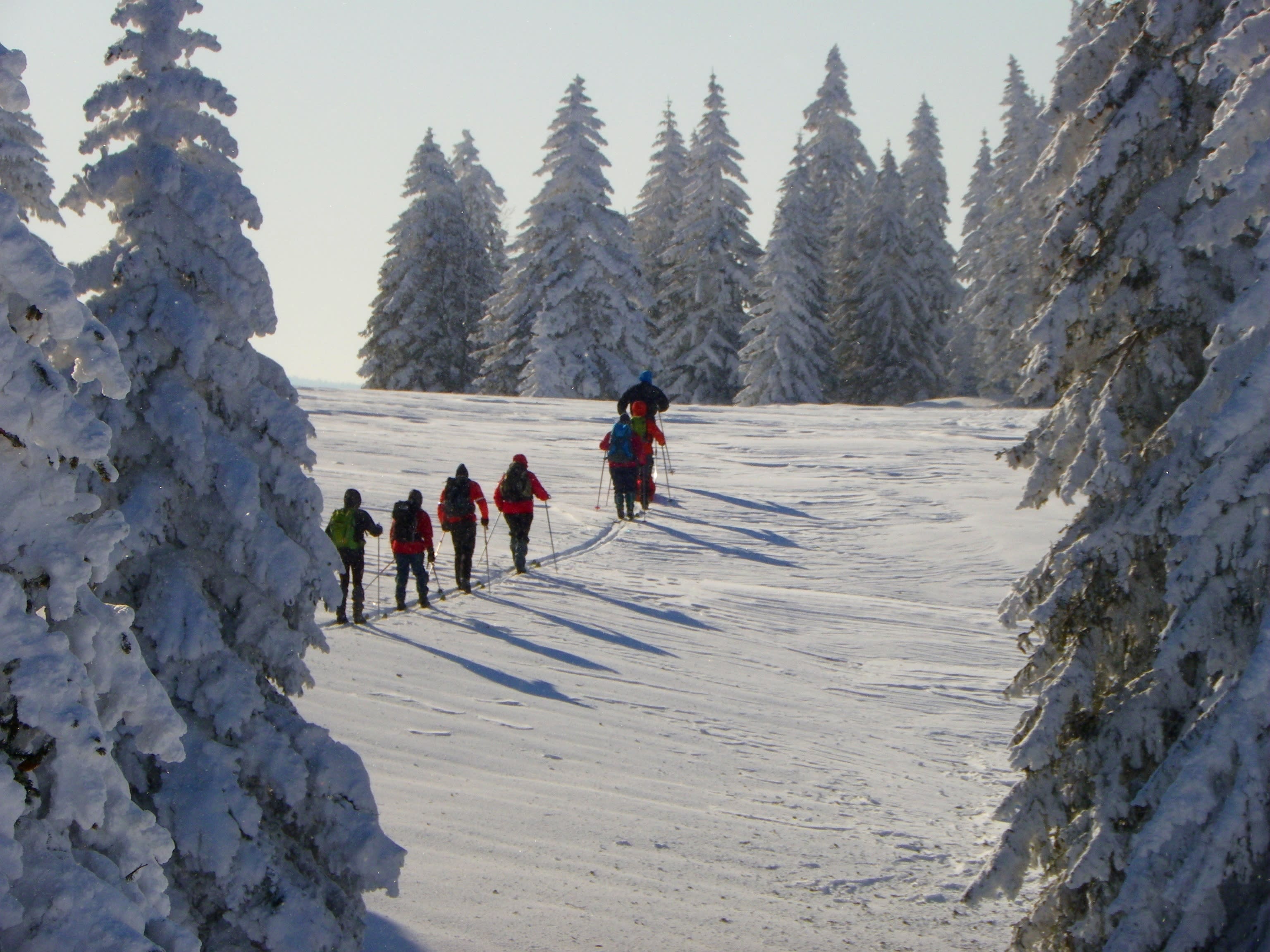 Image Randonnée nordique dans les Hautes Combes du Jura