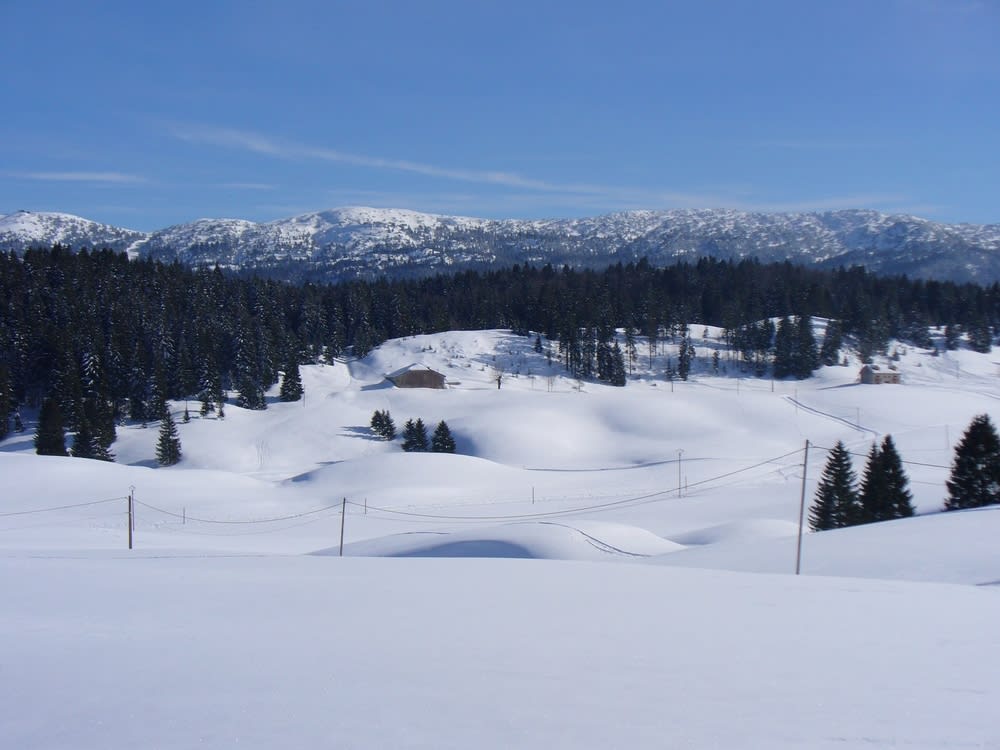 Image Randonnée nordique dans les Hautes Combes du Jura