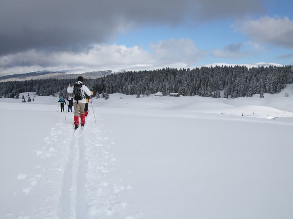 Image Randonnée nordique dans les Hautes Combes du Jura