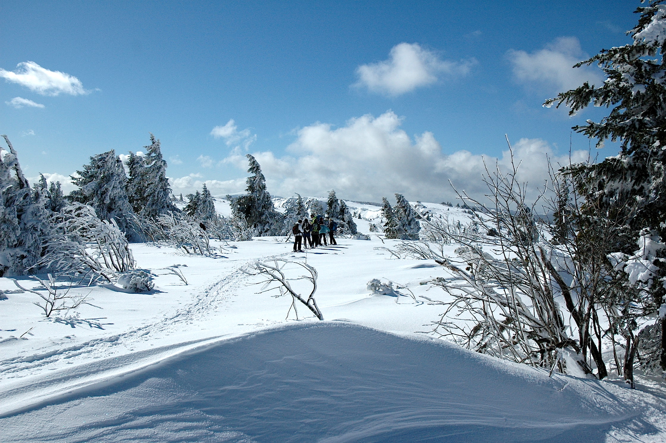 Voyage en raquette - Raquettes en Hautes Vosges, du Bonhomme au Lac Blanc