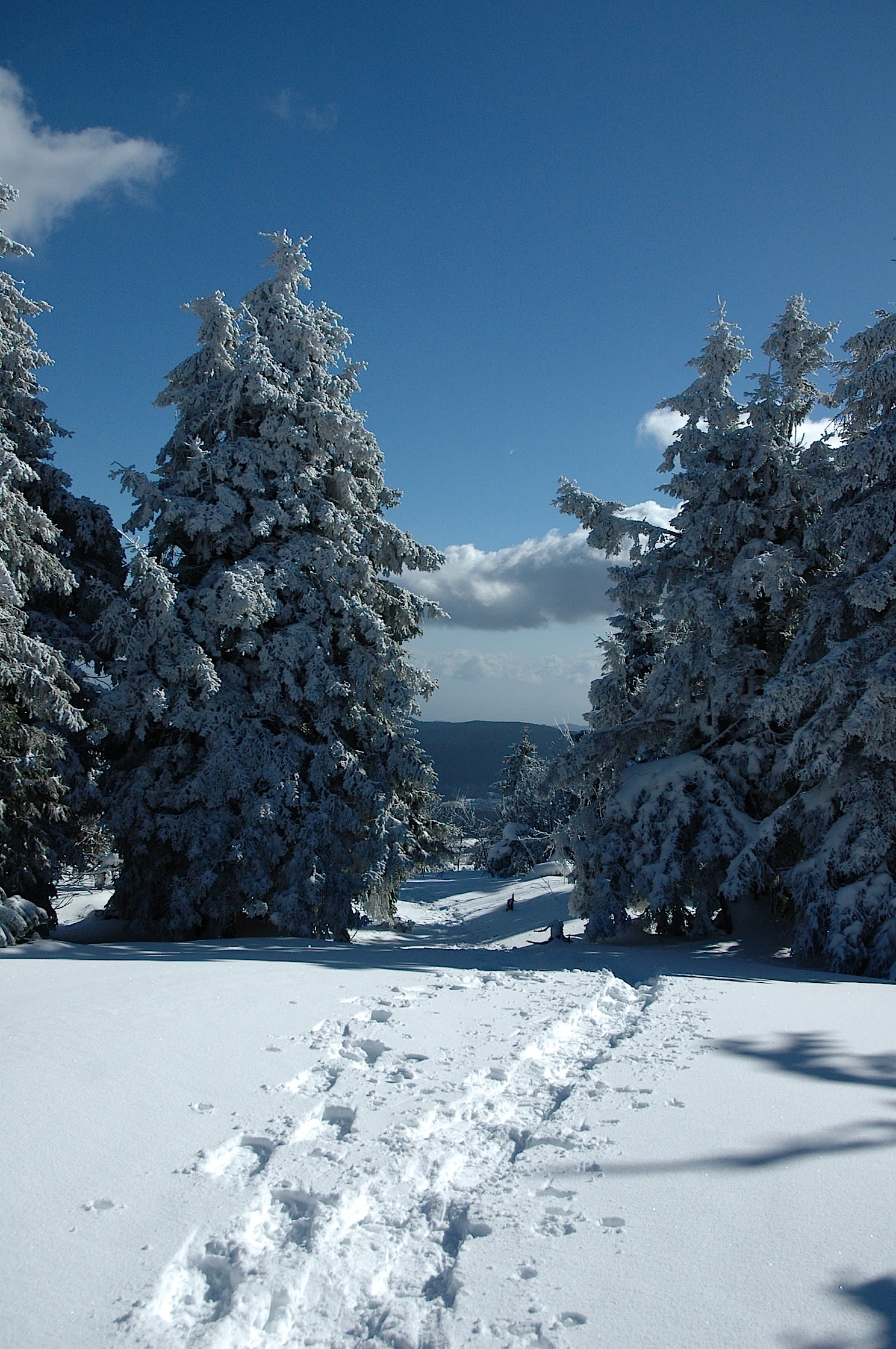 Image Réveillon raquettes dans les Vosges, au pays du Lac Blanc