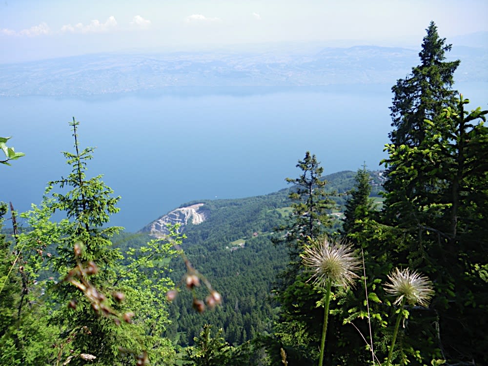 Image Sentiers et saveurs du Léman