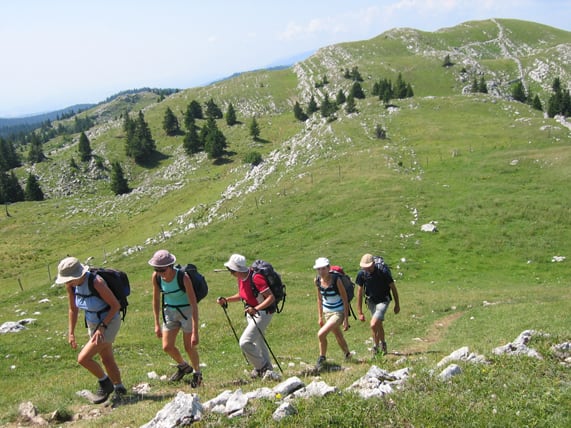 Image Les hautes combes du Jura en étoile