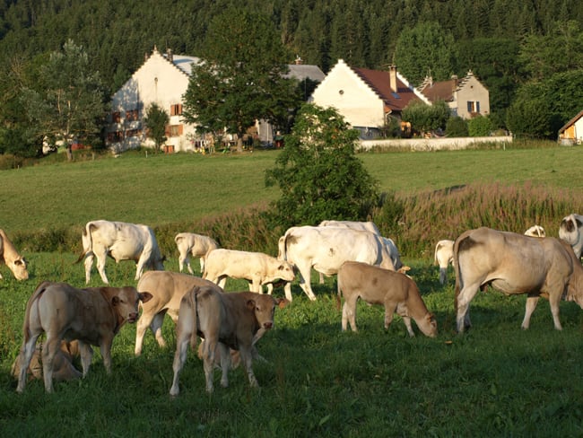 Image Multi Activités en famille dans le Vercors