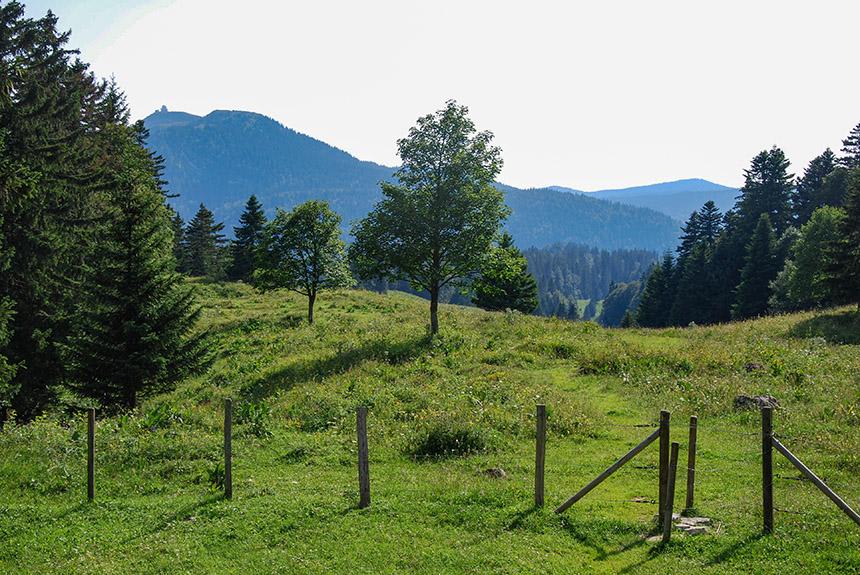 Image Les hautes combes du Jura en étoile