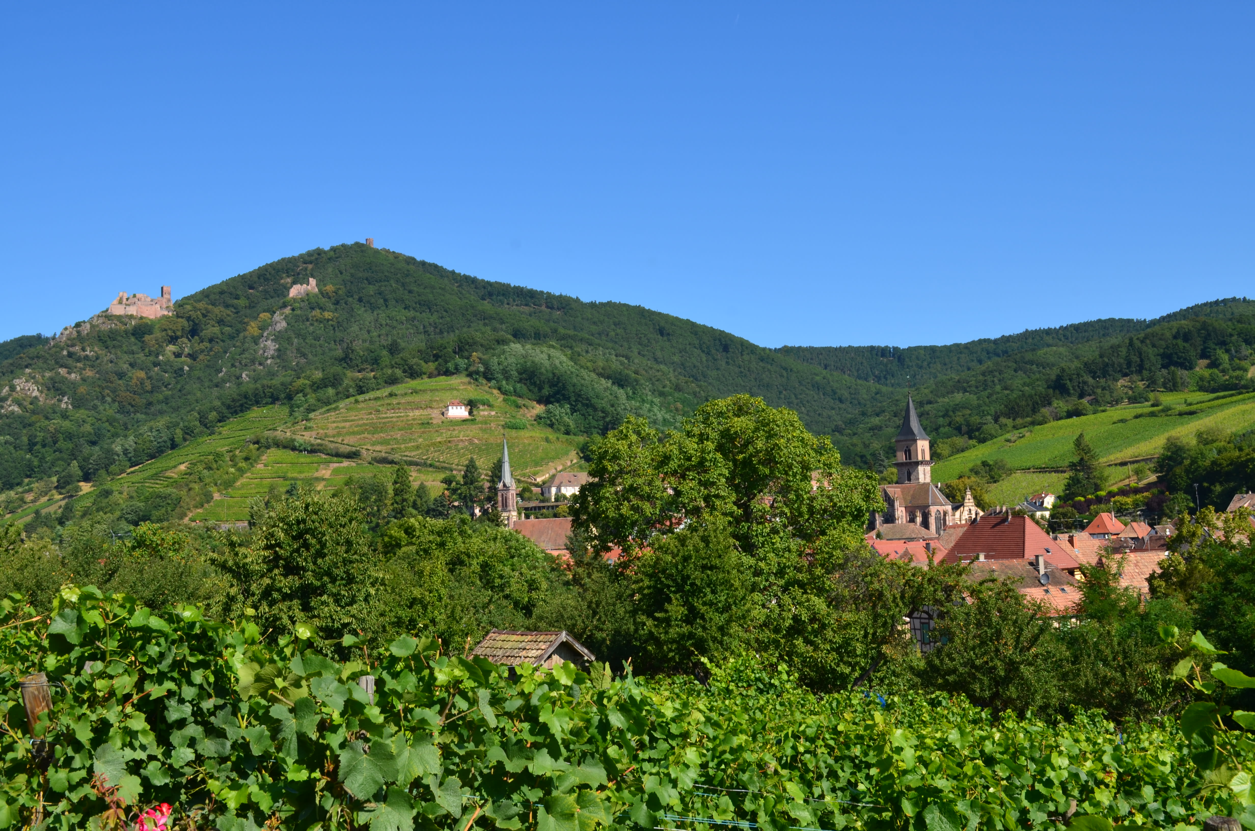 Image Le Pays Welche