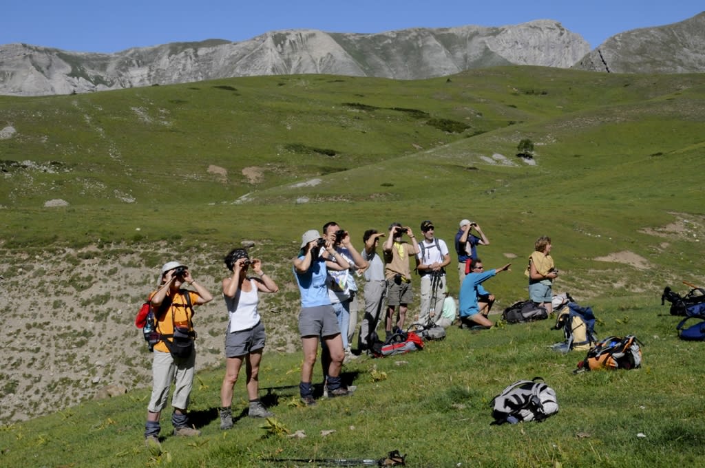Image Retrouvance Buëch et Dévoluy