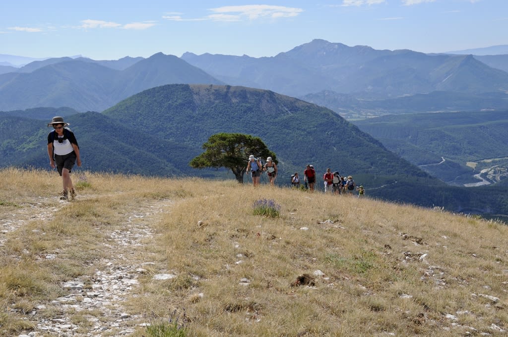 Image Retrouvance Buëch et Dévoluy