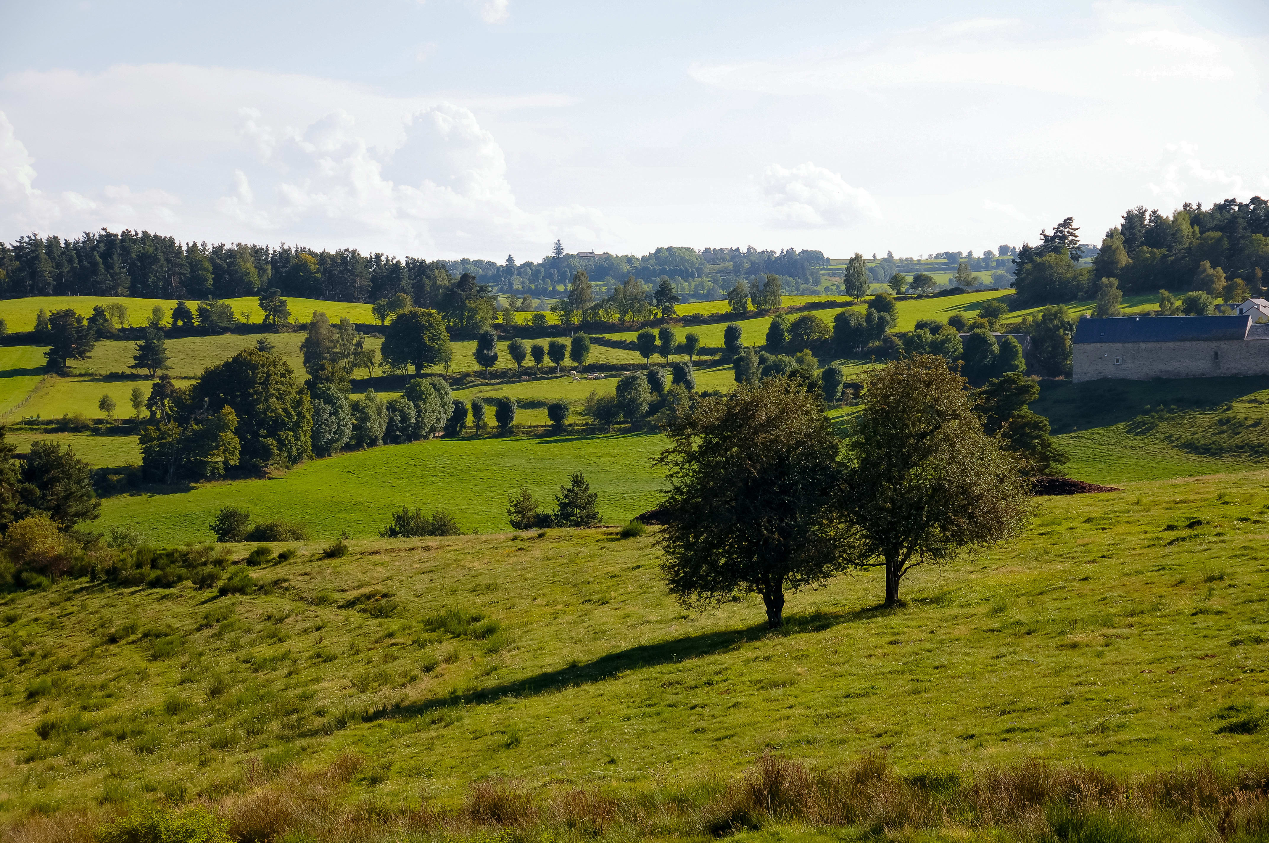Image Randonnée à la découverte de l'Aubrac