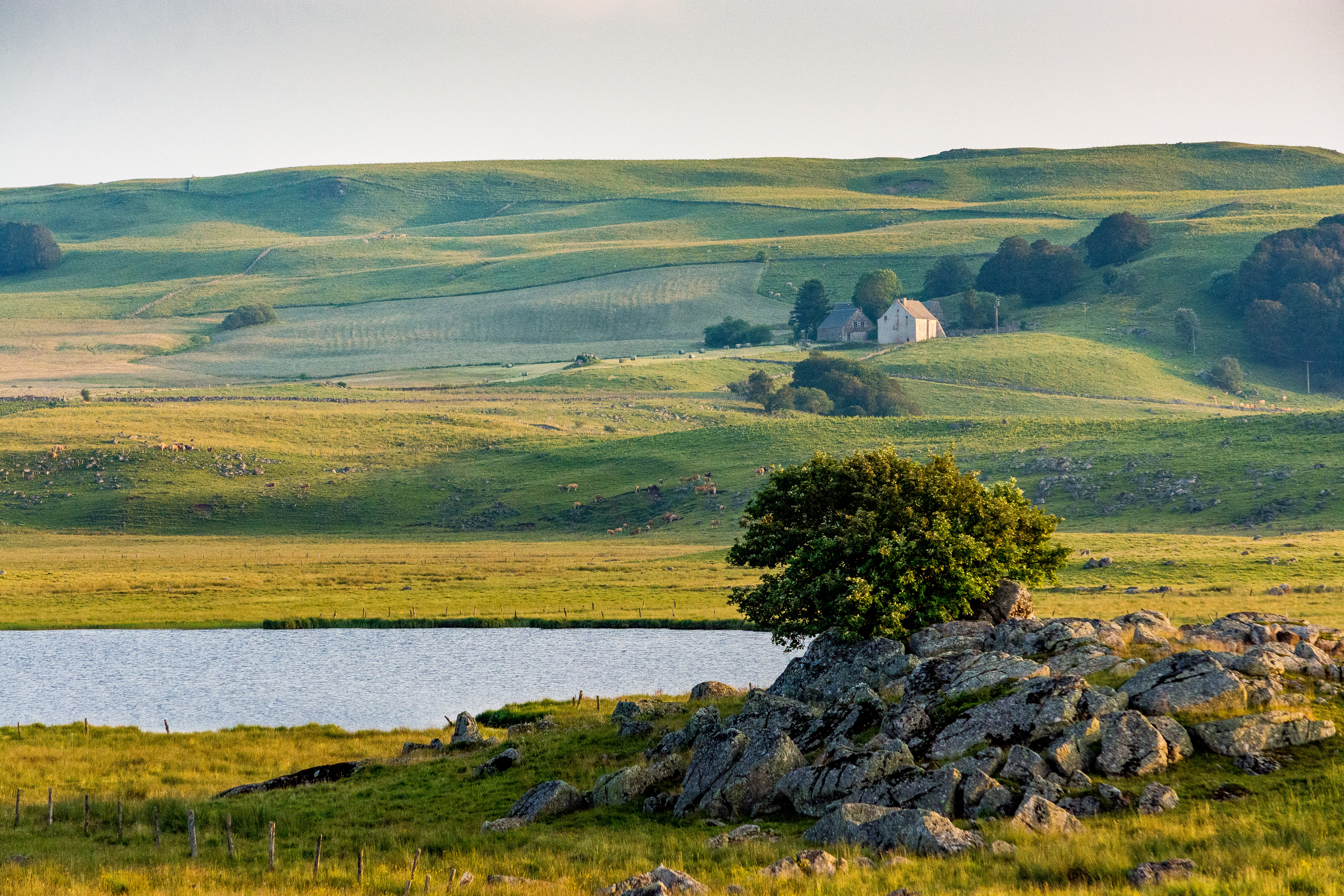 Image Randonnée à la découverte de l'Aubrac