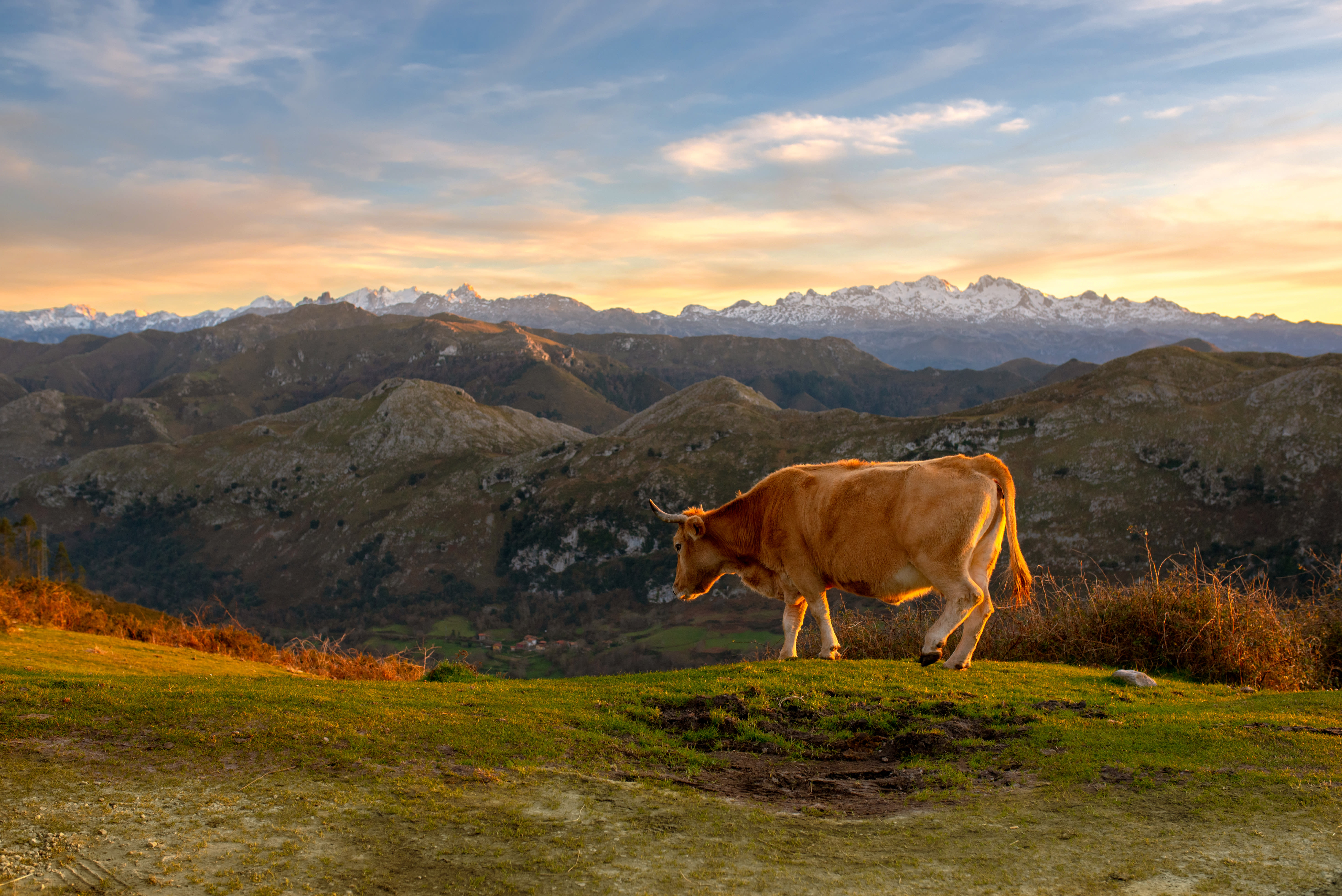 Trek - Le Tour de l\'Aubrac en liberté