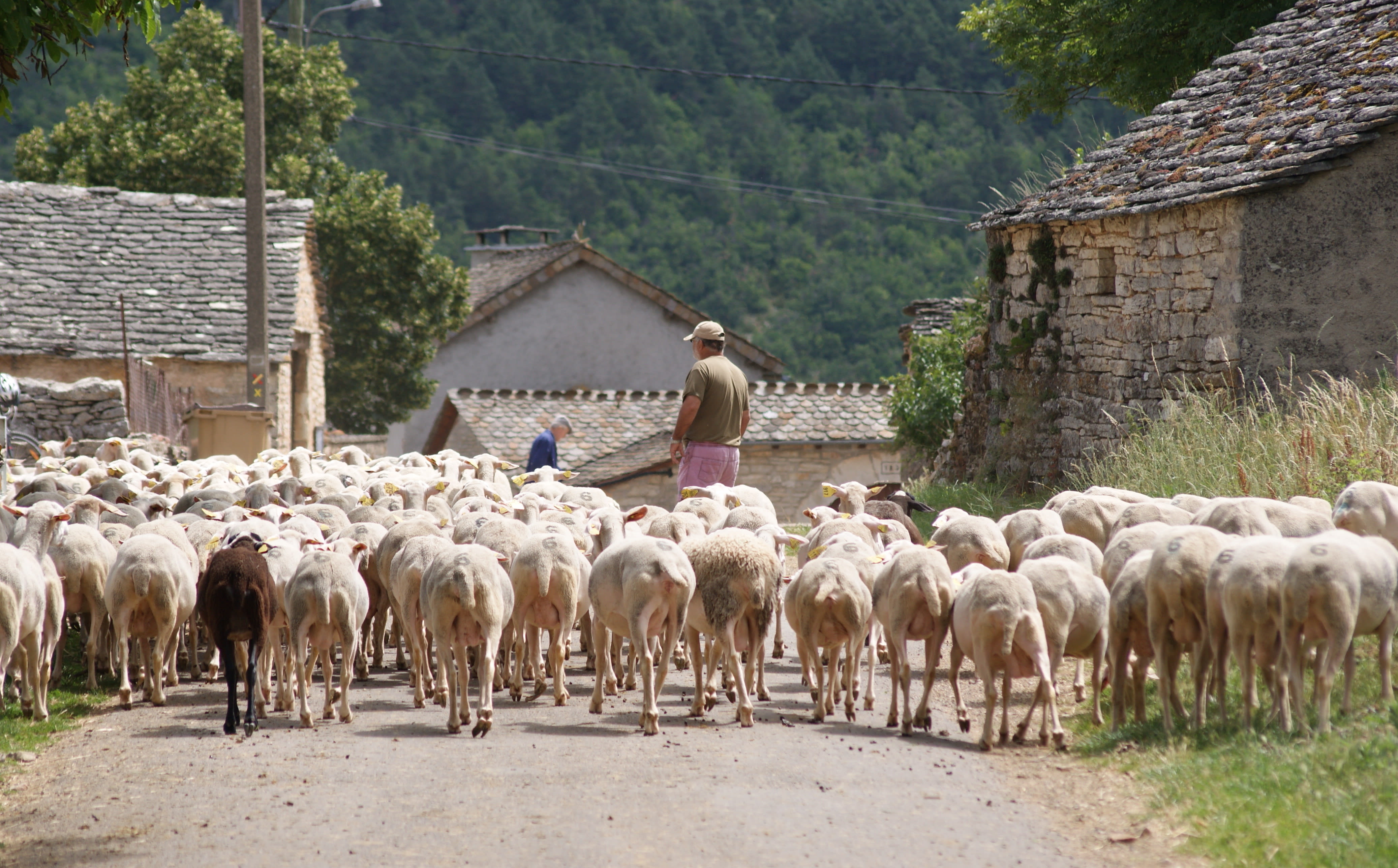 Image Secrets d'Aveyron