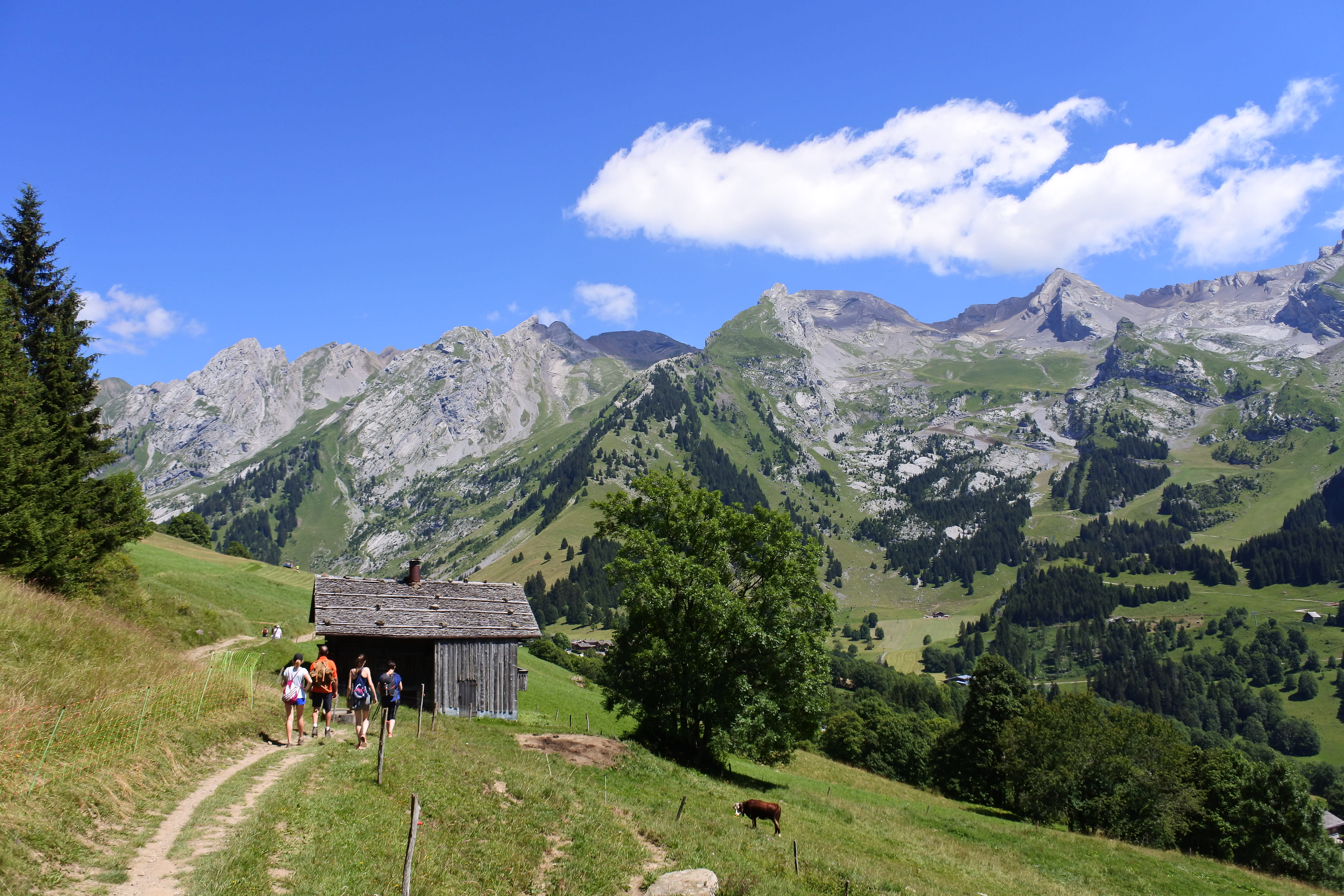 Traversée des alpages des Aravis
