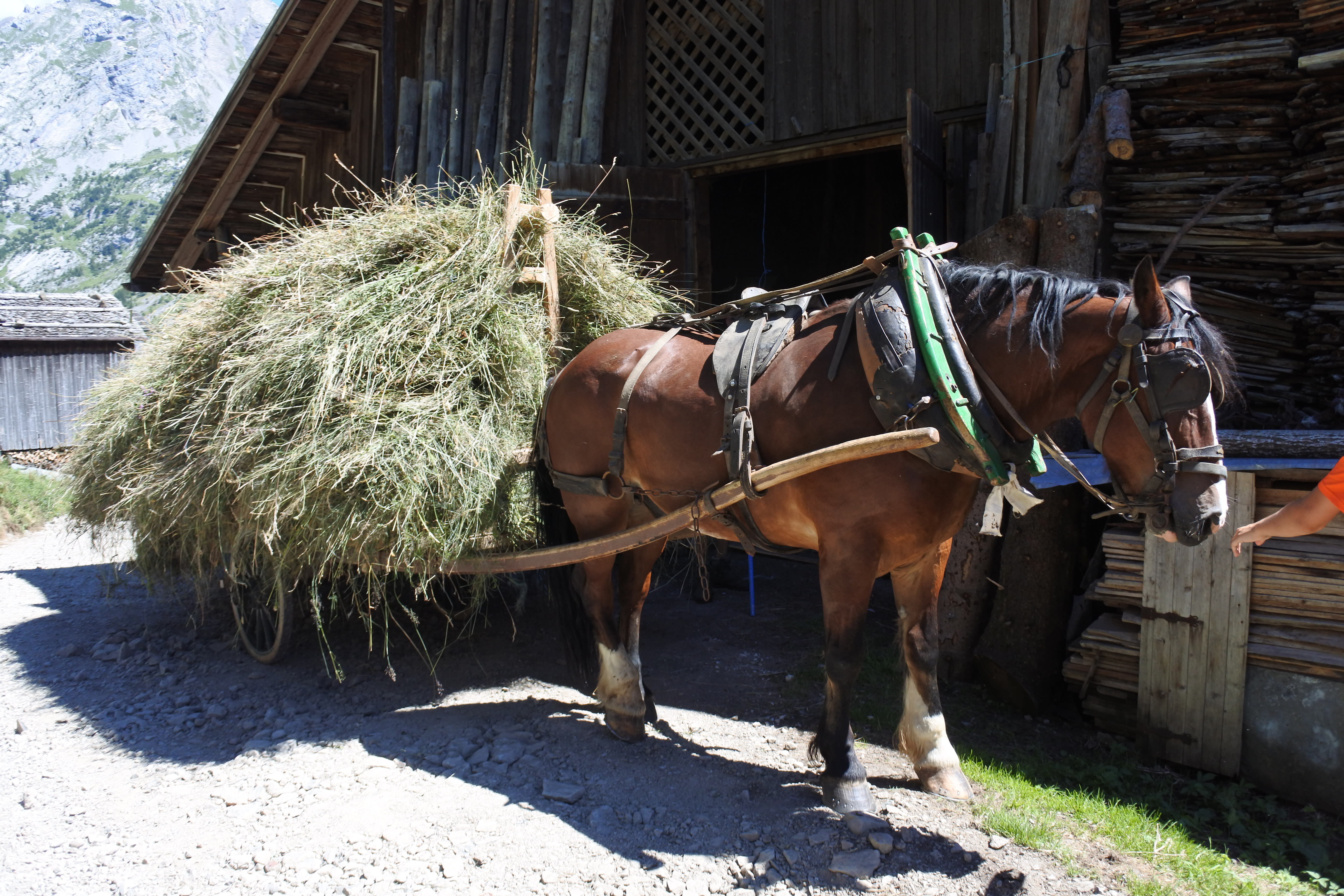 Image Traversée des alpages des Aravis