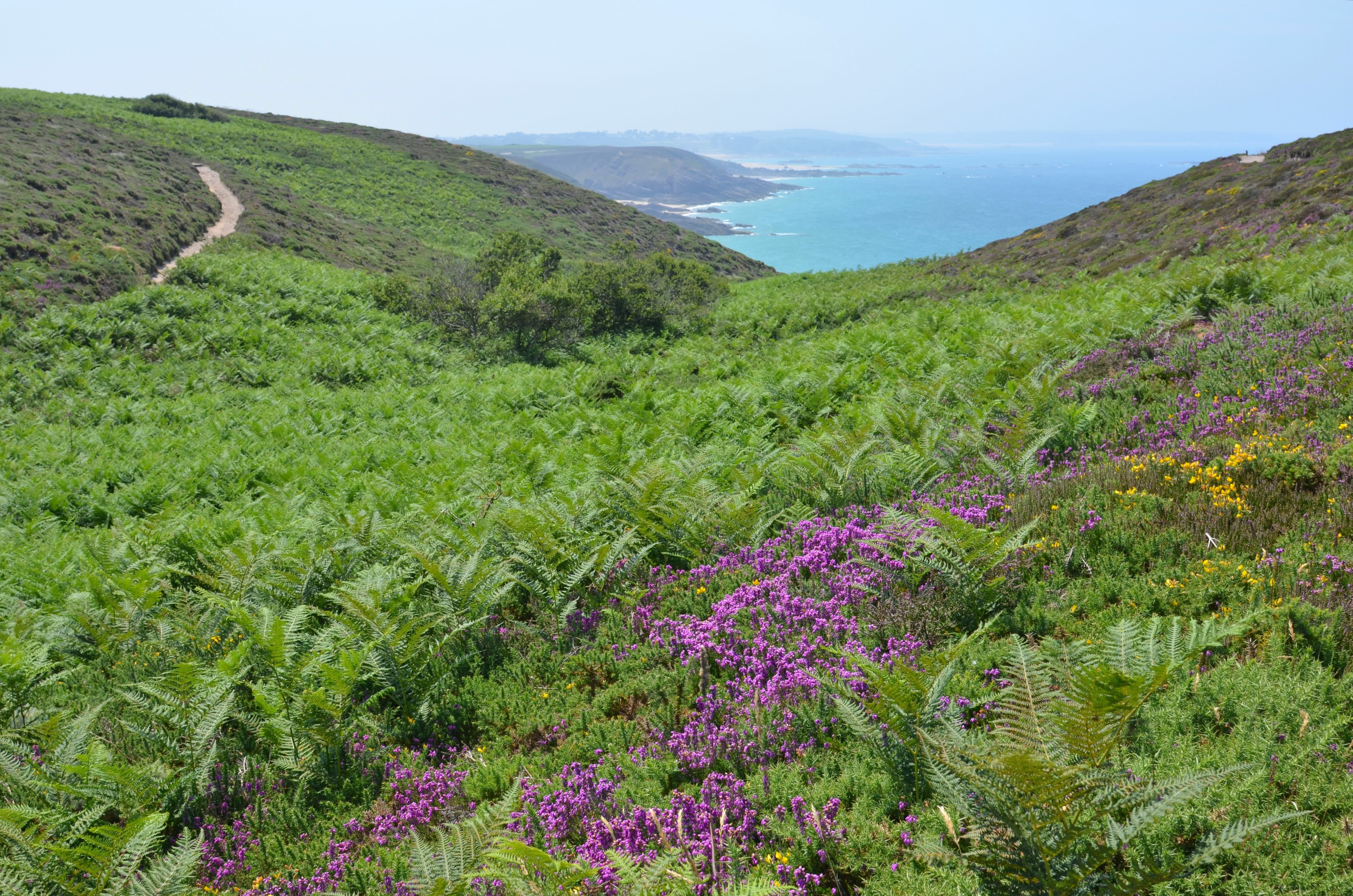 Image Nouvel An au Cap Fréhel