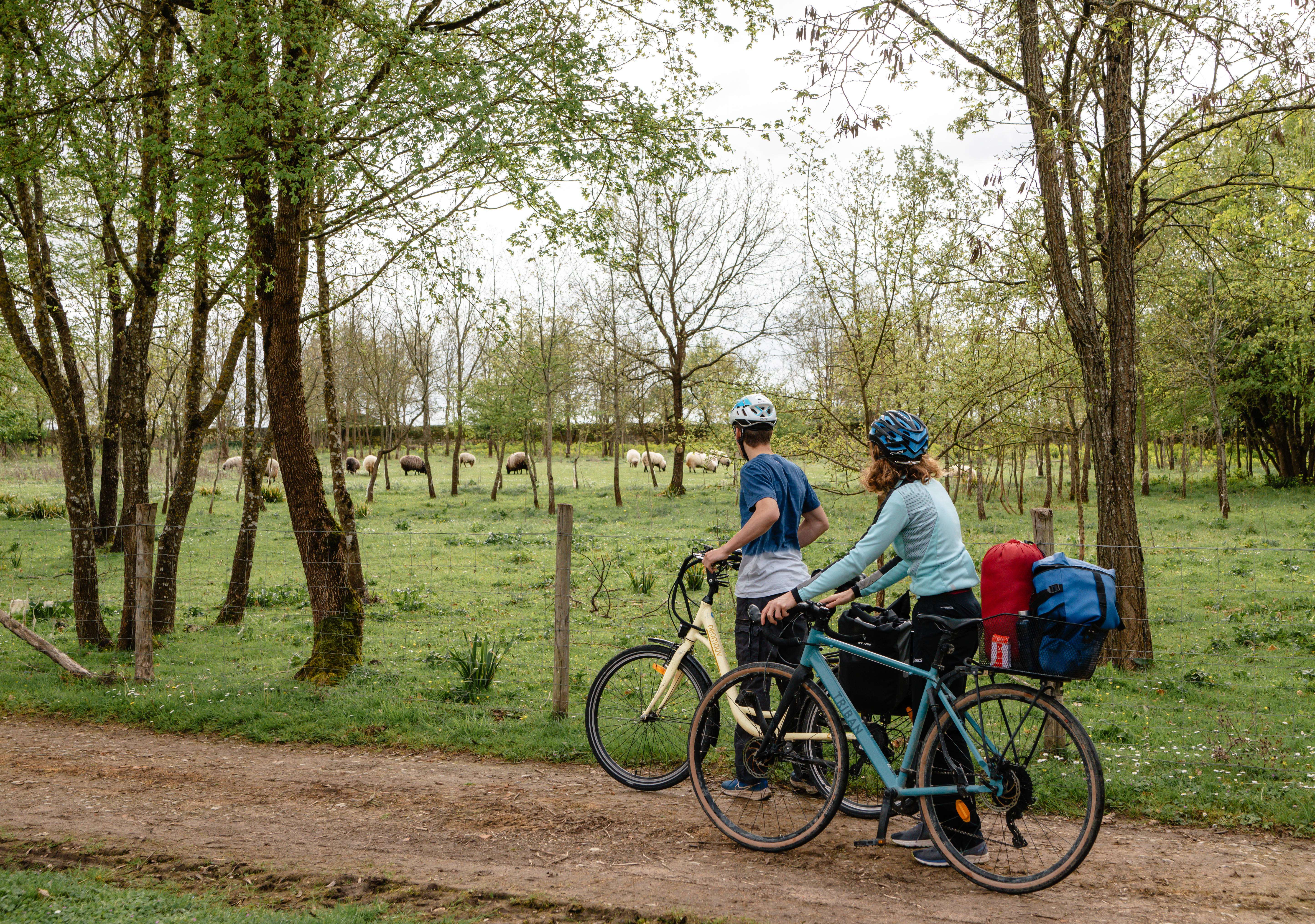 Image La Flow Vélo, d'Angoulême à Rochefort