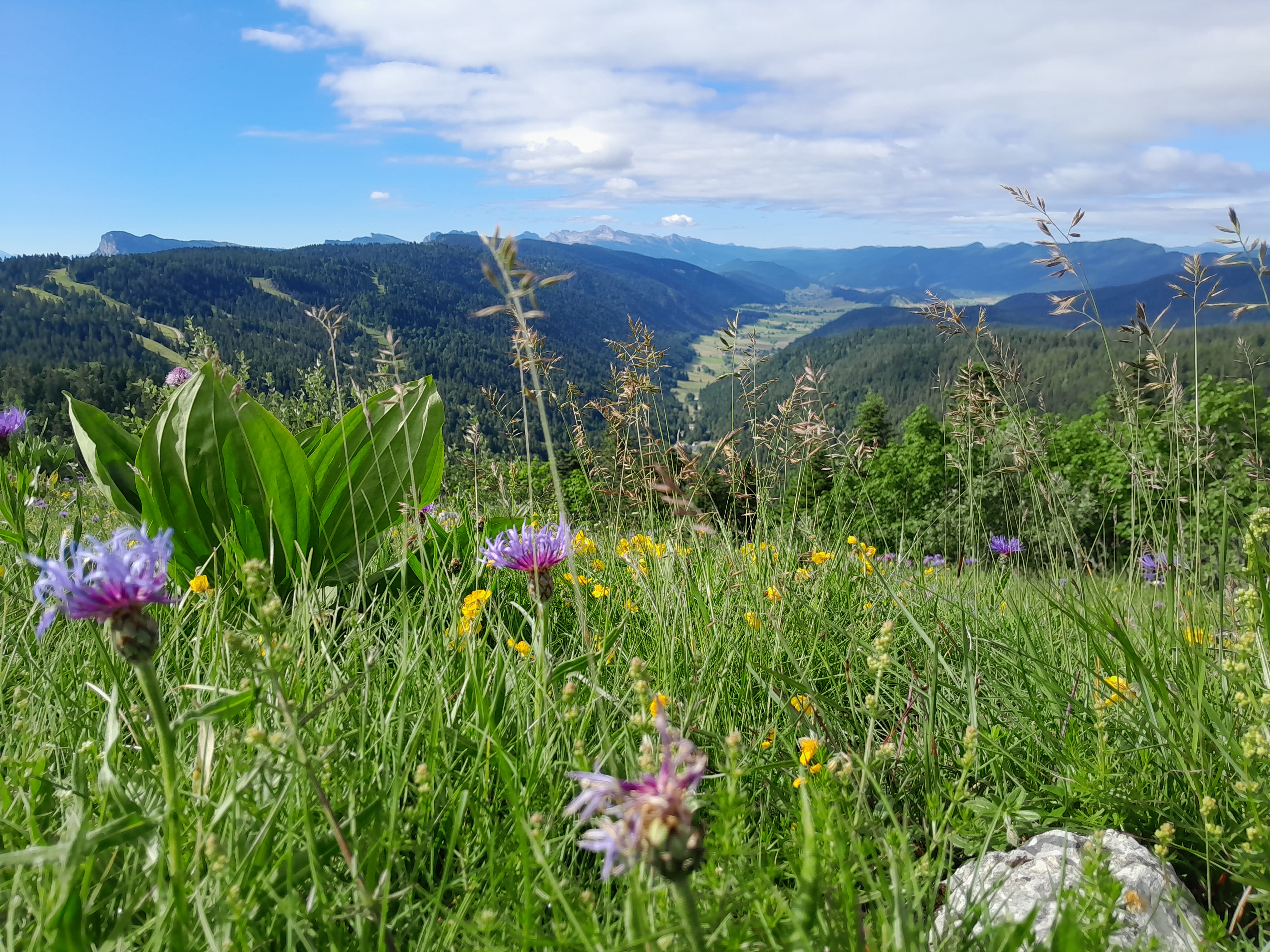 Image Les Merveilles du Vercors : Randonnée et Bien-être