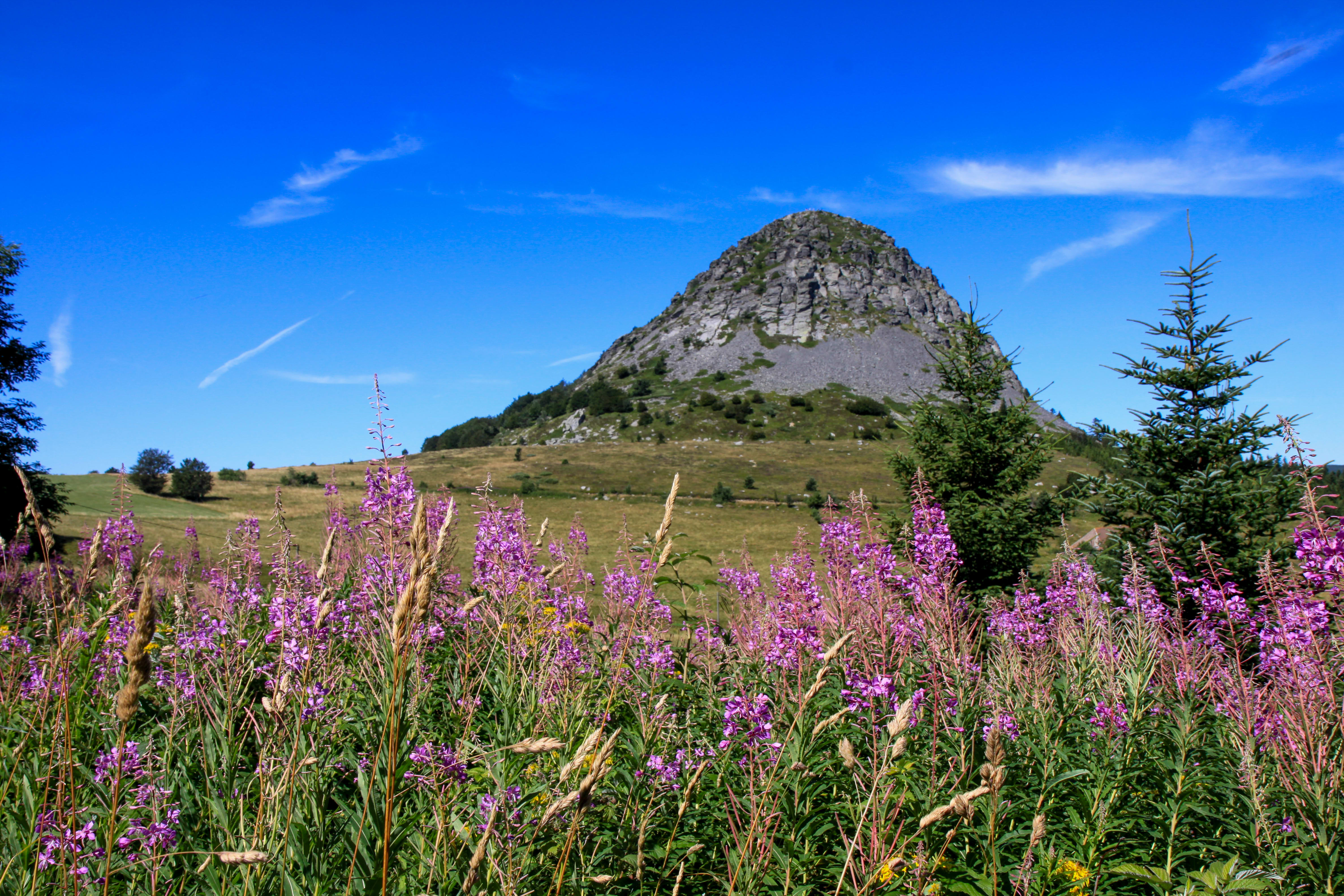 Découverte des plus beaux sentiers de l'Ardèche