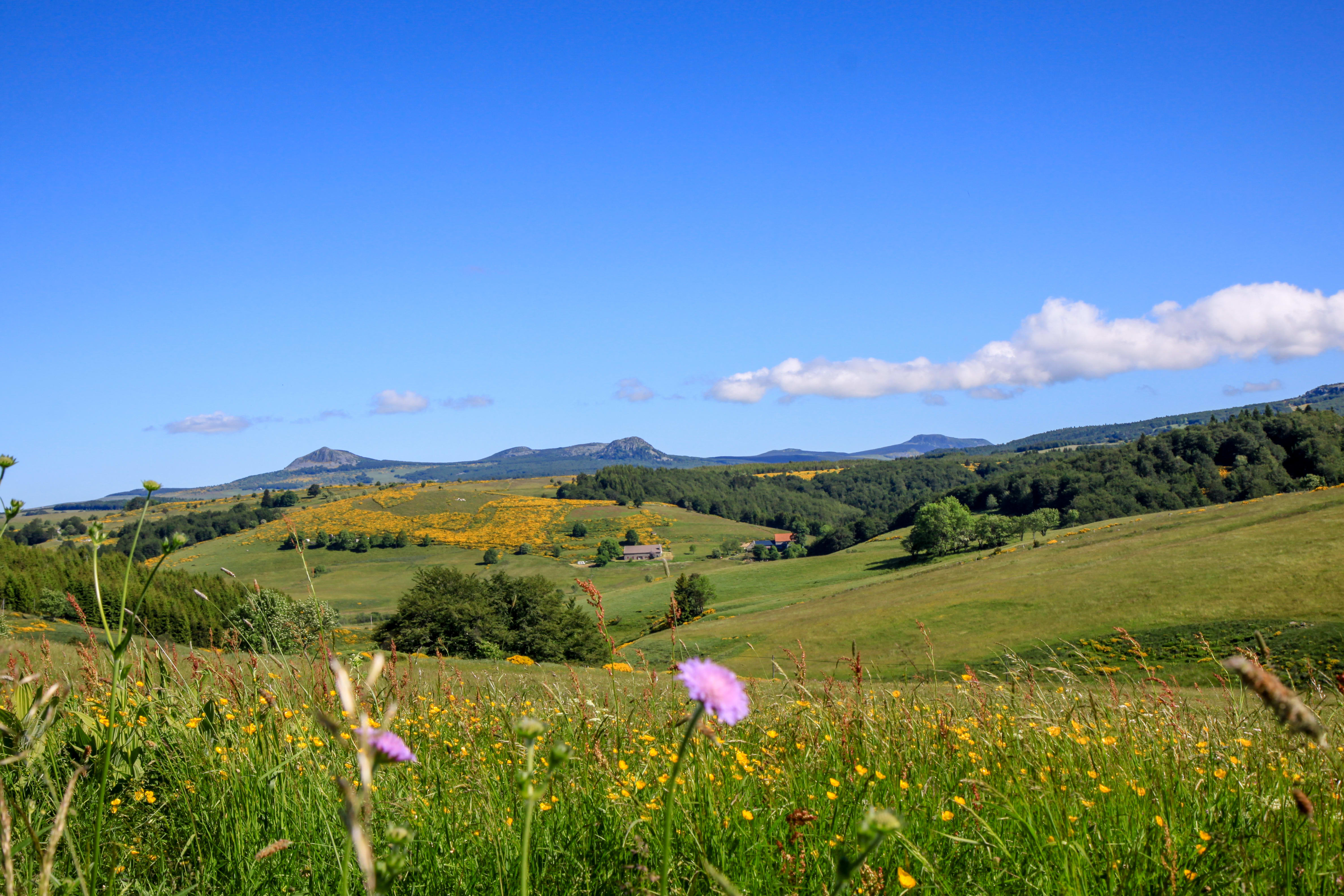 Image Découverte des plus beaux sentiers de l'Ardèche