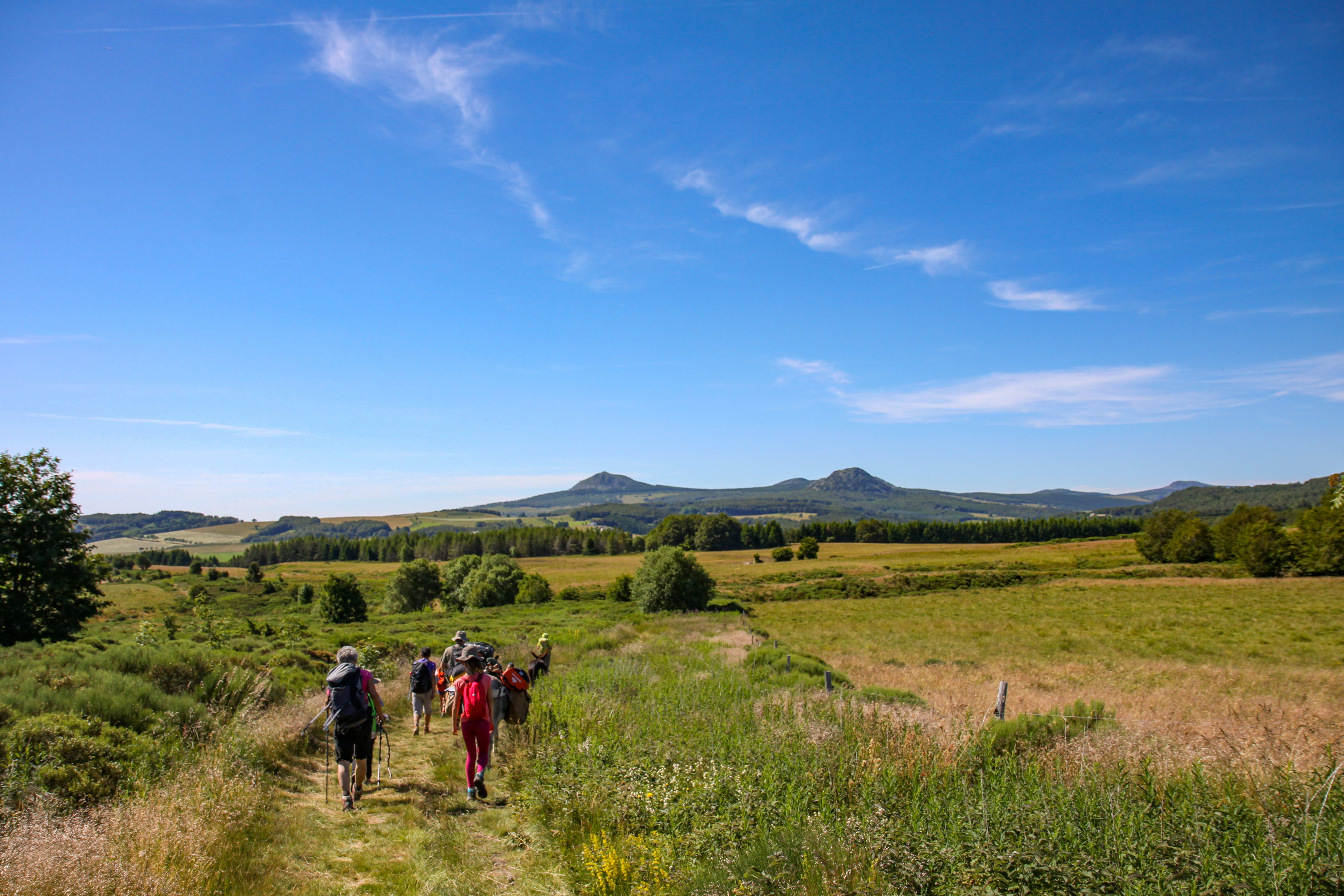 Image Les volcans des Monts d'Ardèche en famille et avec un âne