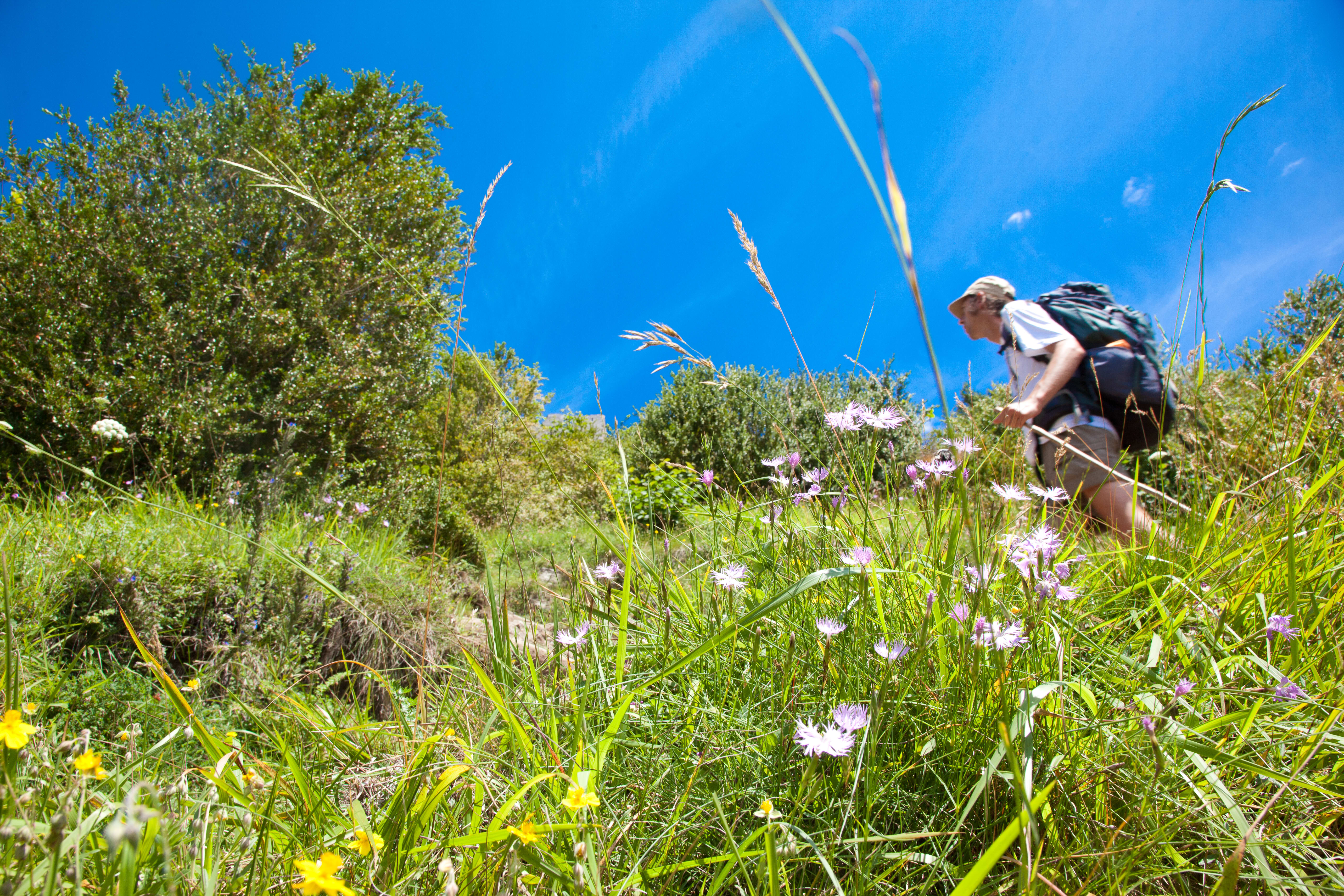 Image La traversée en itinérance du Sentier Cathare