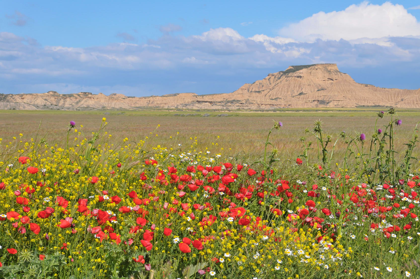 Image Bardenas et sierras à VTT