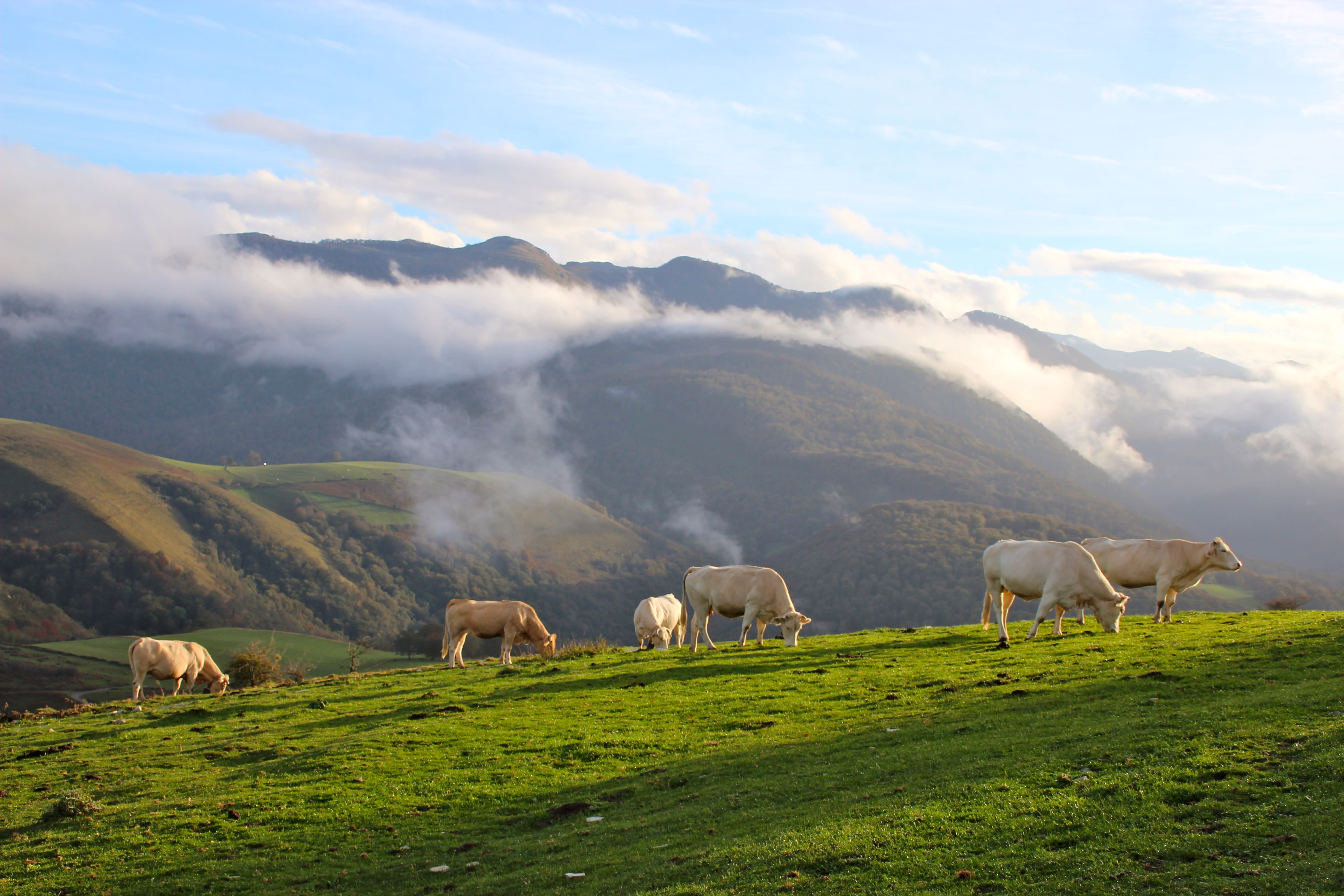 Image La montagne Basque à vélo