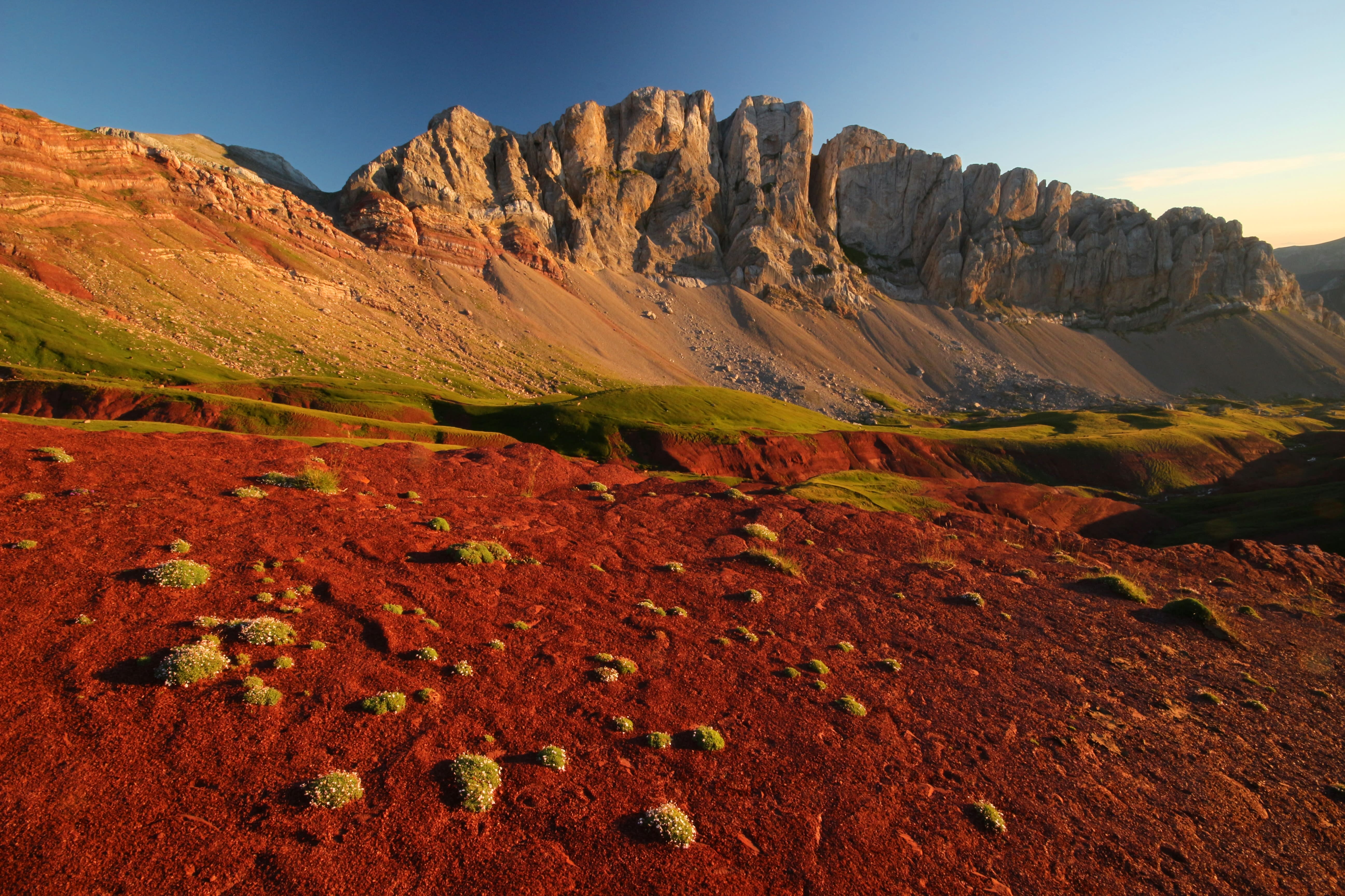 Image Dans le territoire de l'ours Camille